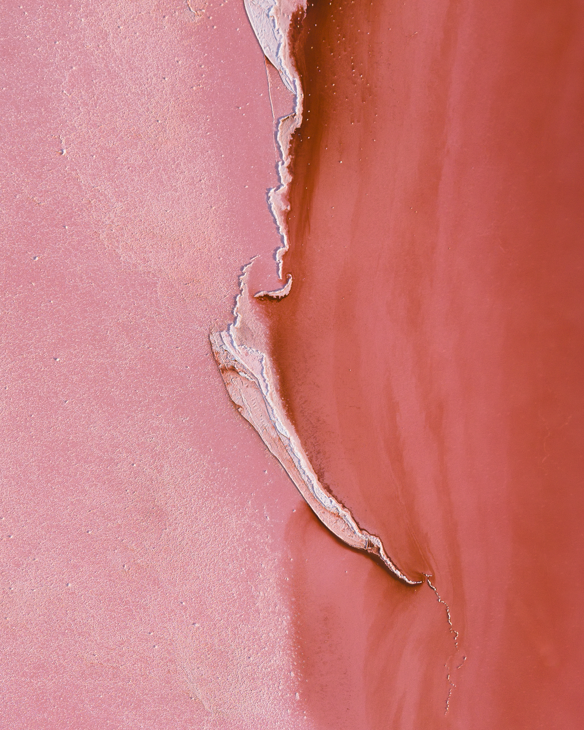 Pink Tides – Hutt Lagoon