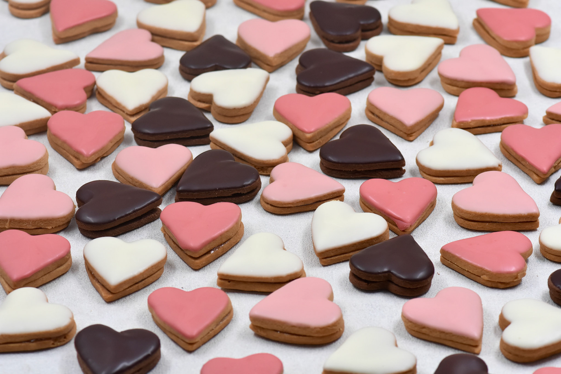 Angelina kyria Product Photography