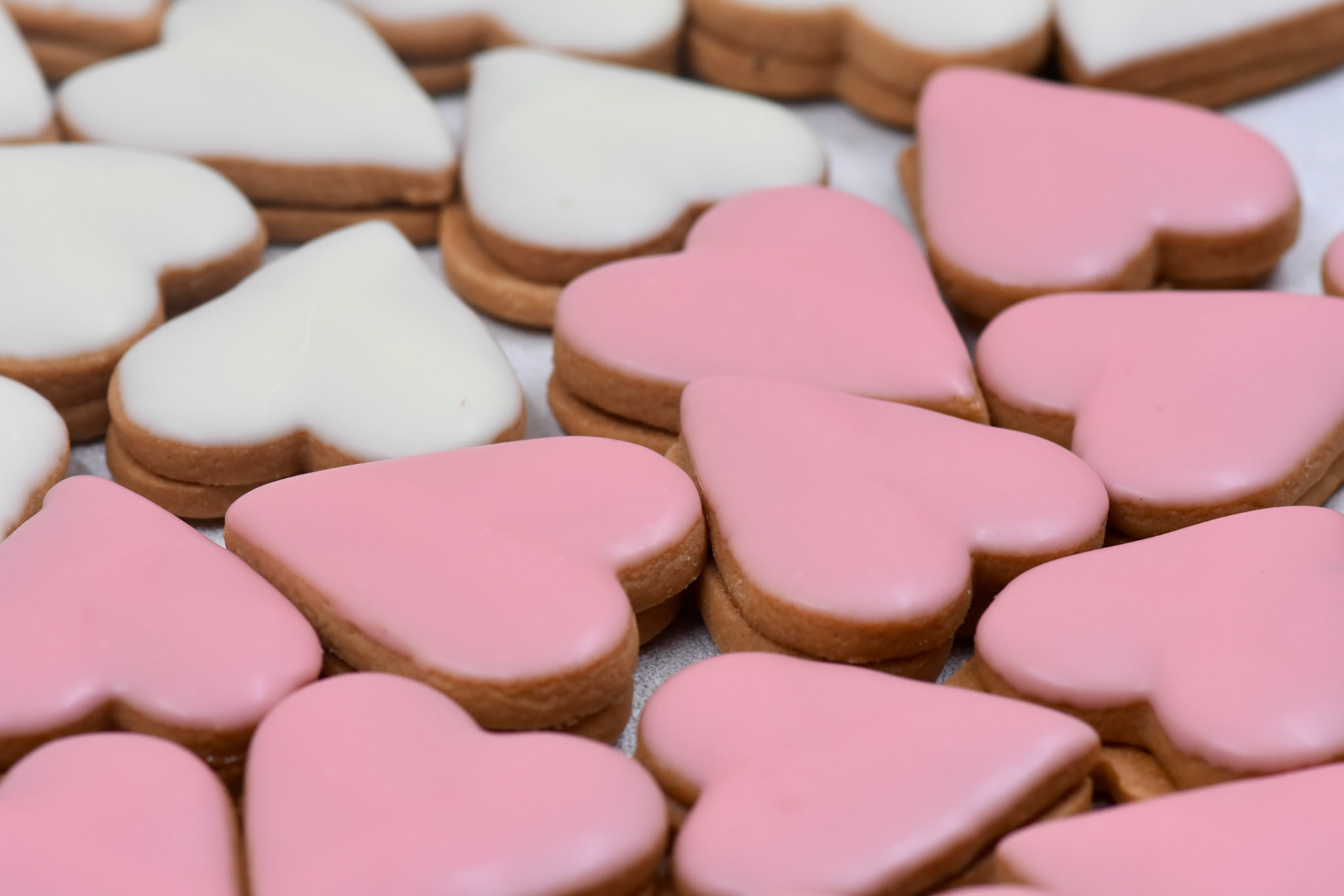 Angelina kyria Product Photography