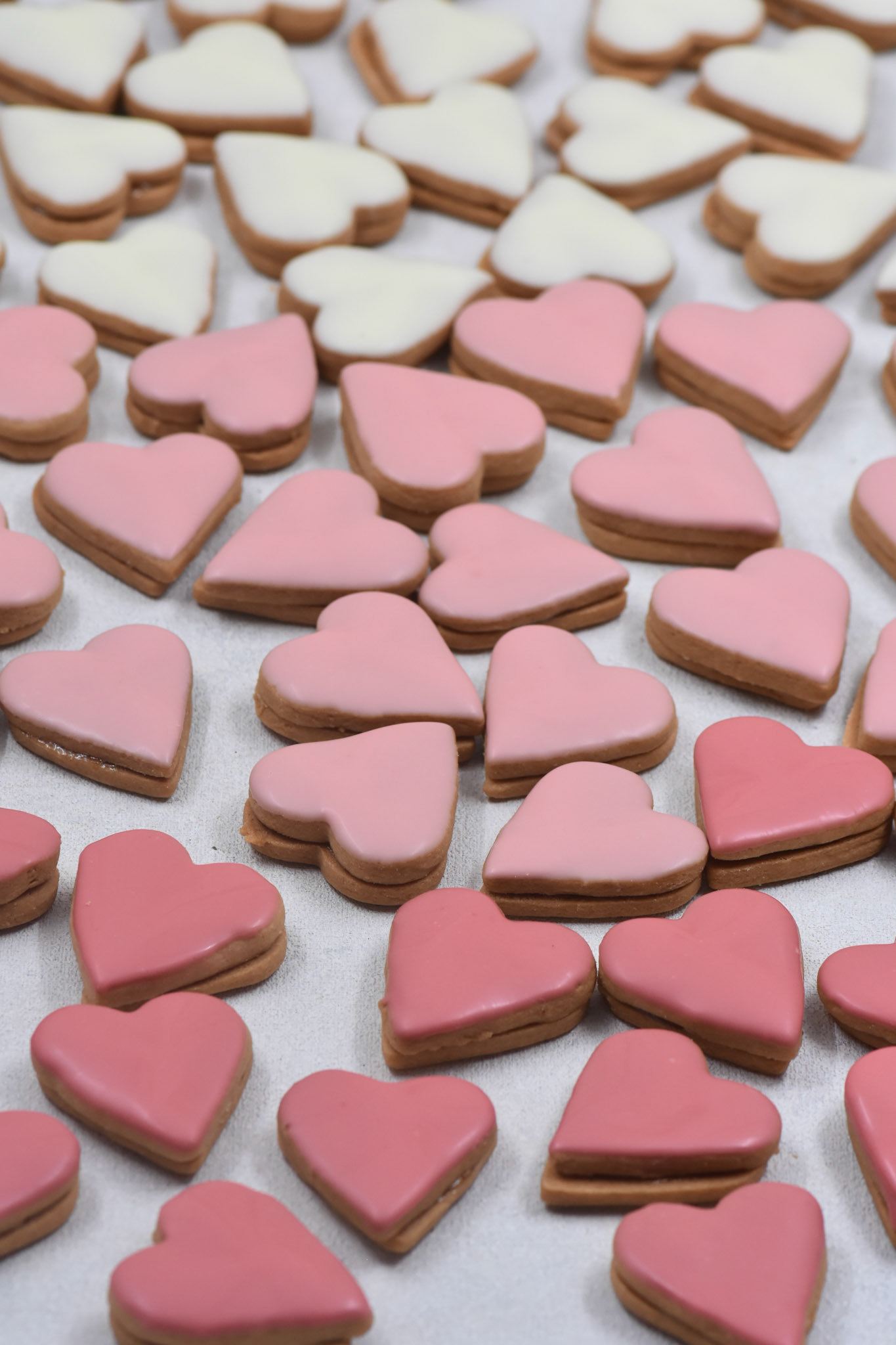 Angelina kyria Product Photography