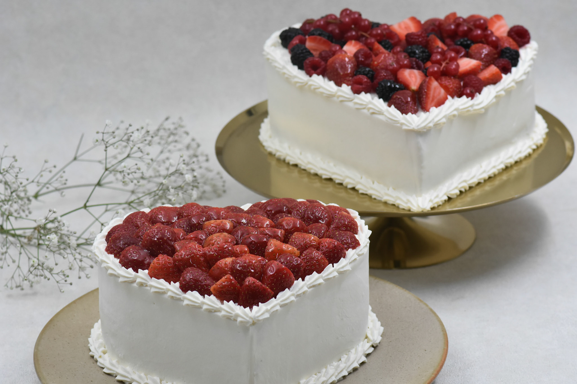 Angelina kyria Product Photography