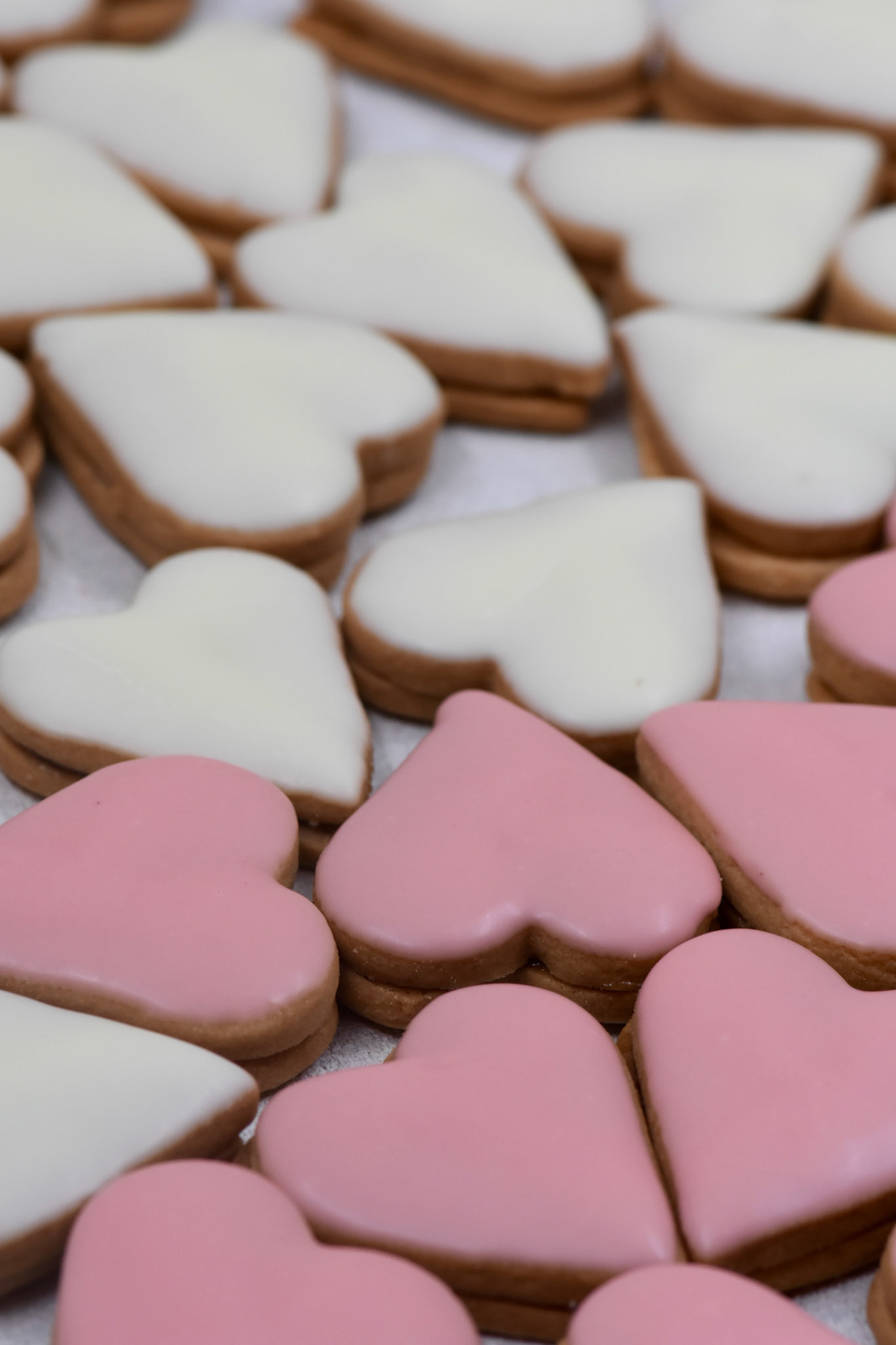 Angelina kyria Product Photography