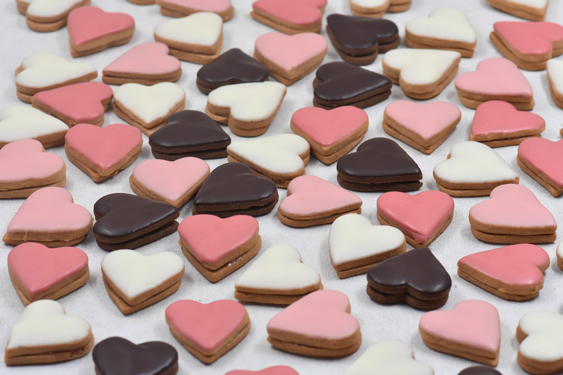 Angelina kyria Product Photography