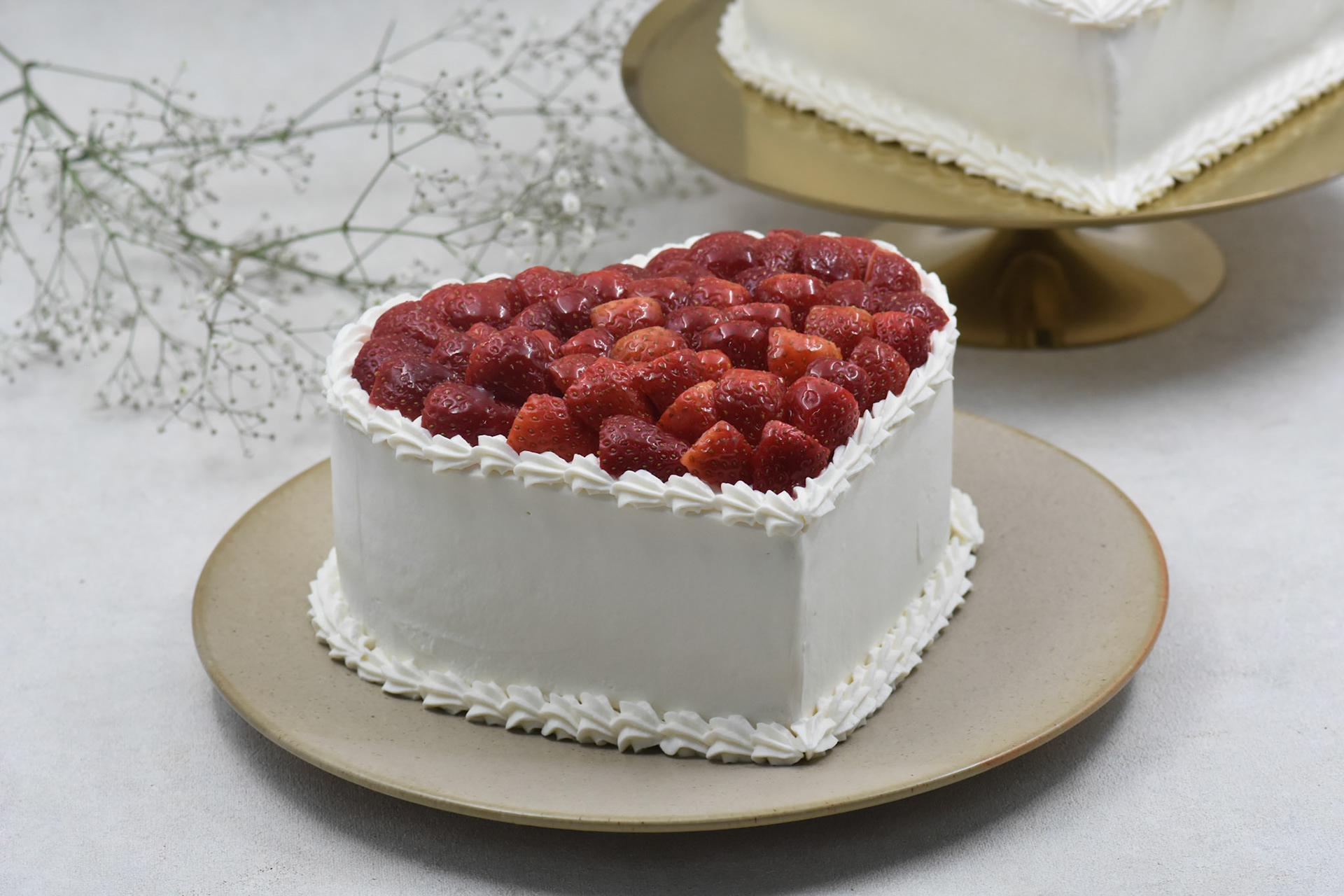 Angelina kyria Product Photography