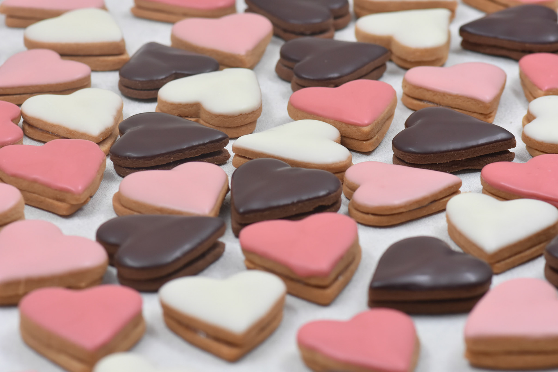 Angelina kyria Product Photography