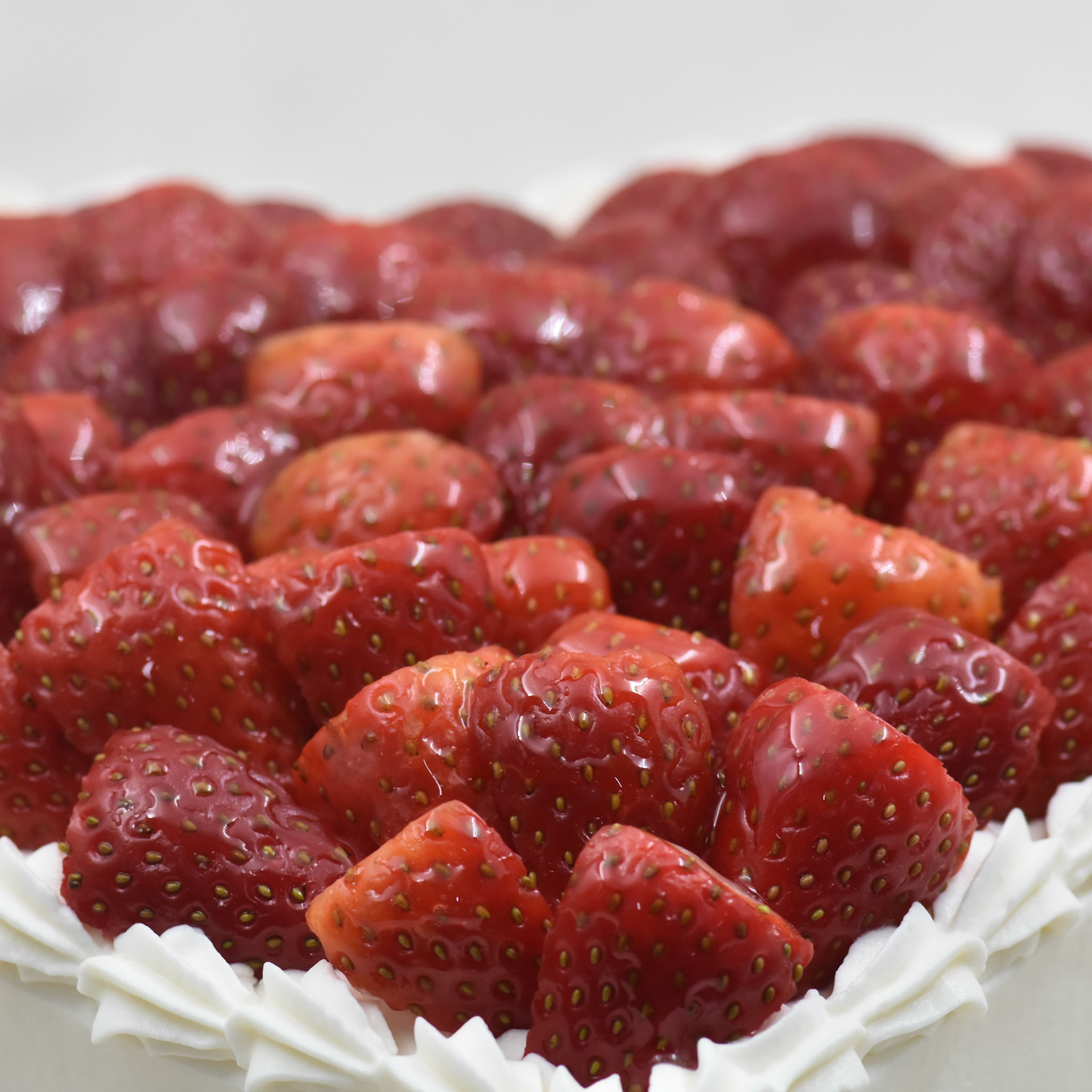 Angelina kyria Product Photography