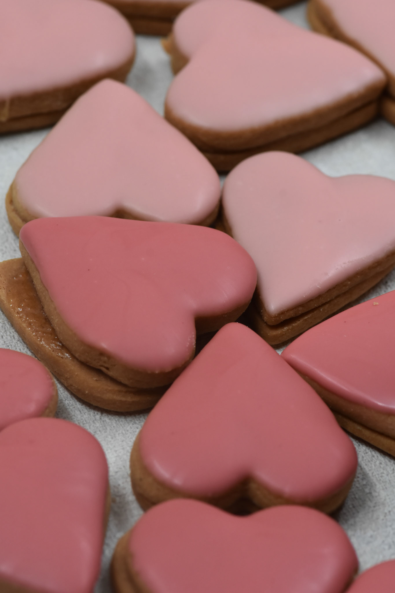 Angelina kyria Product Photography