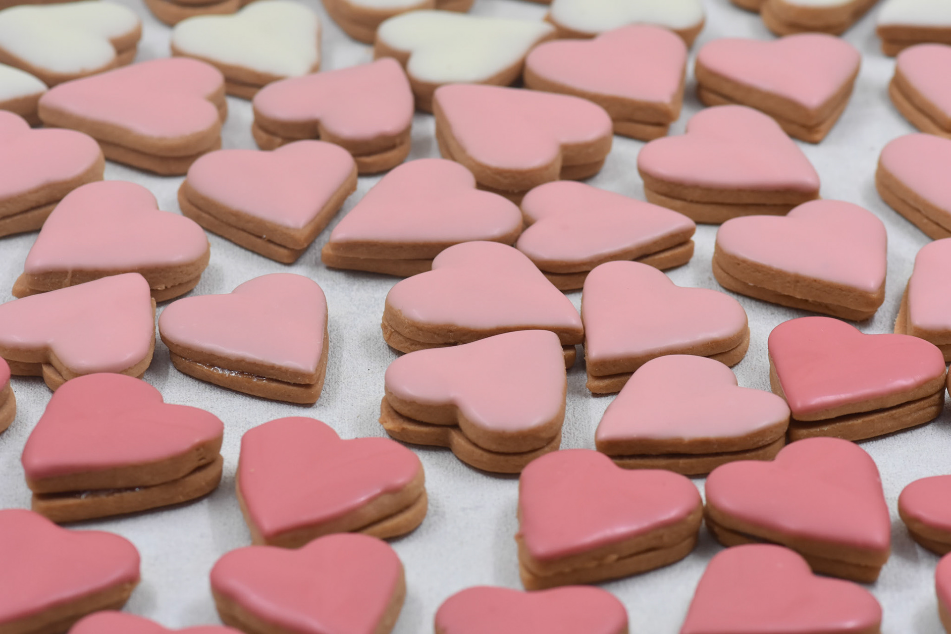 Angelina kyria Product Photography