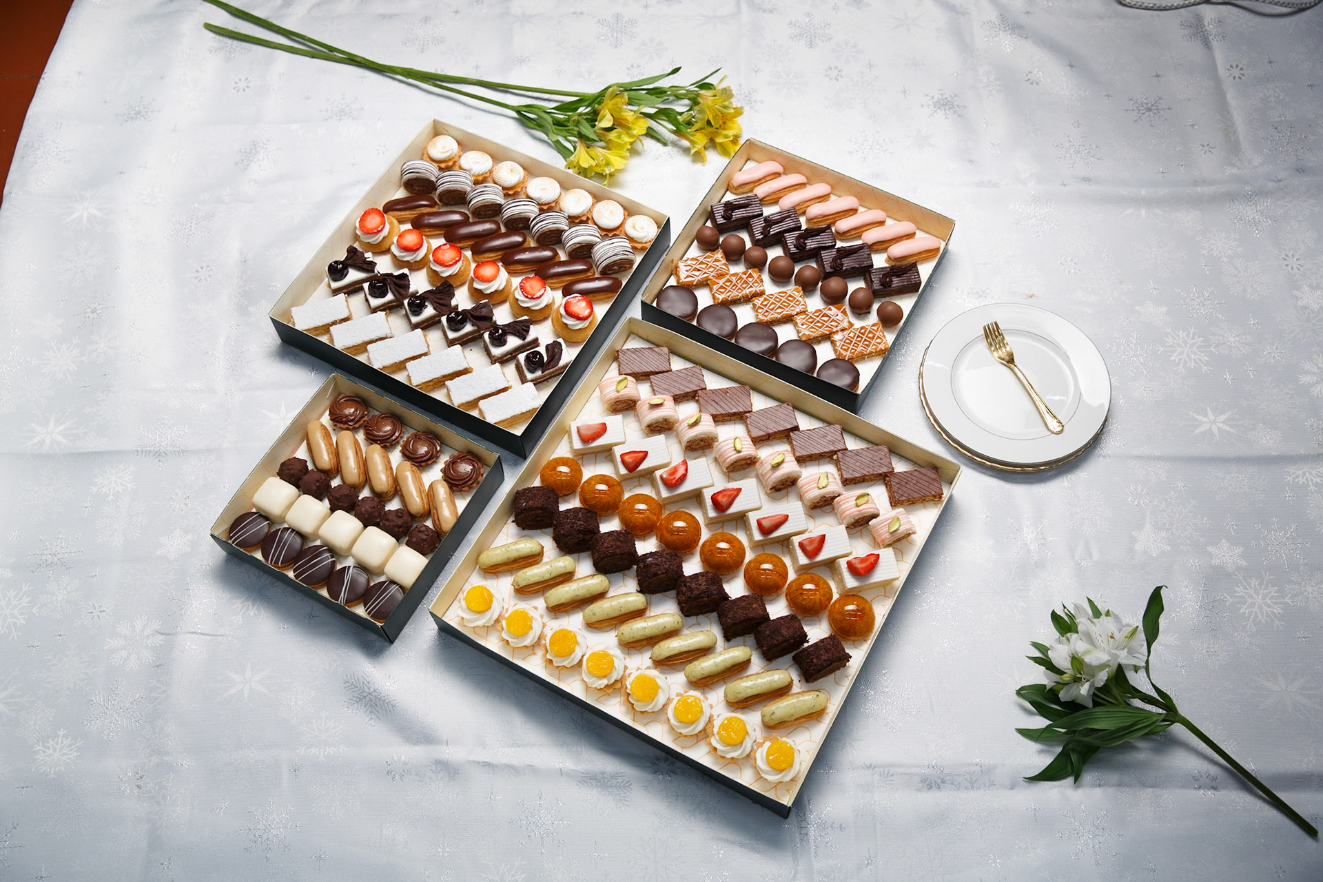 Angelina kyria Product Photography