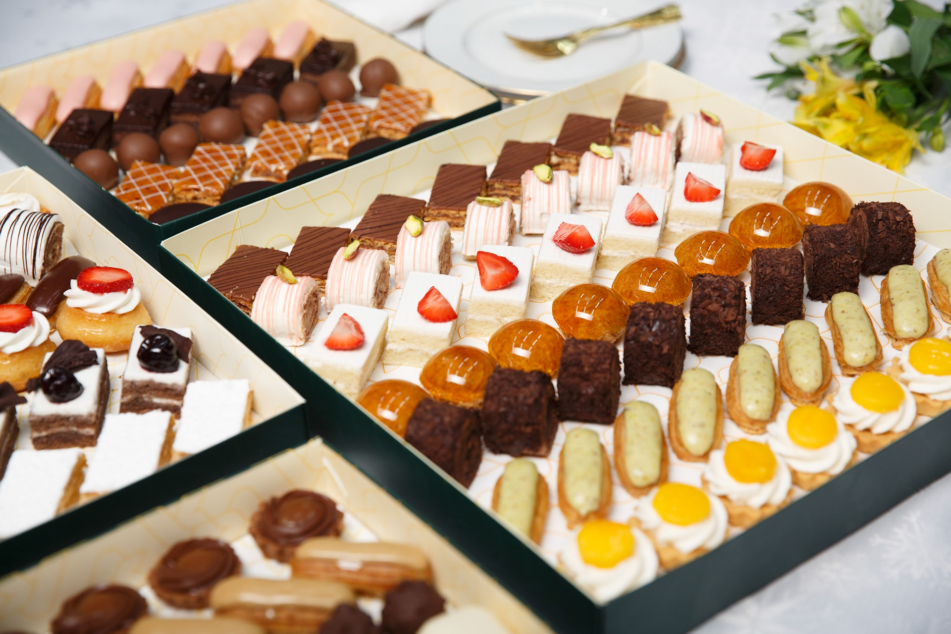 Angelina kyria Product Photography