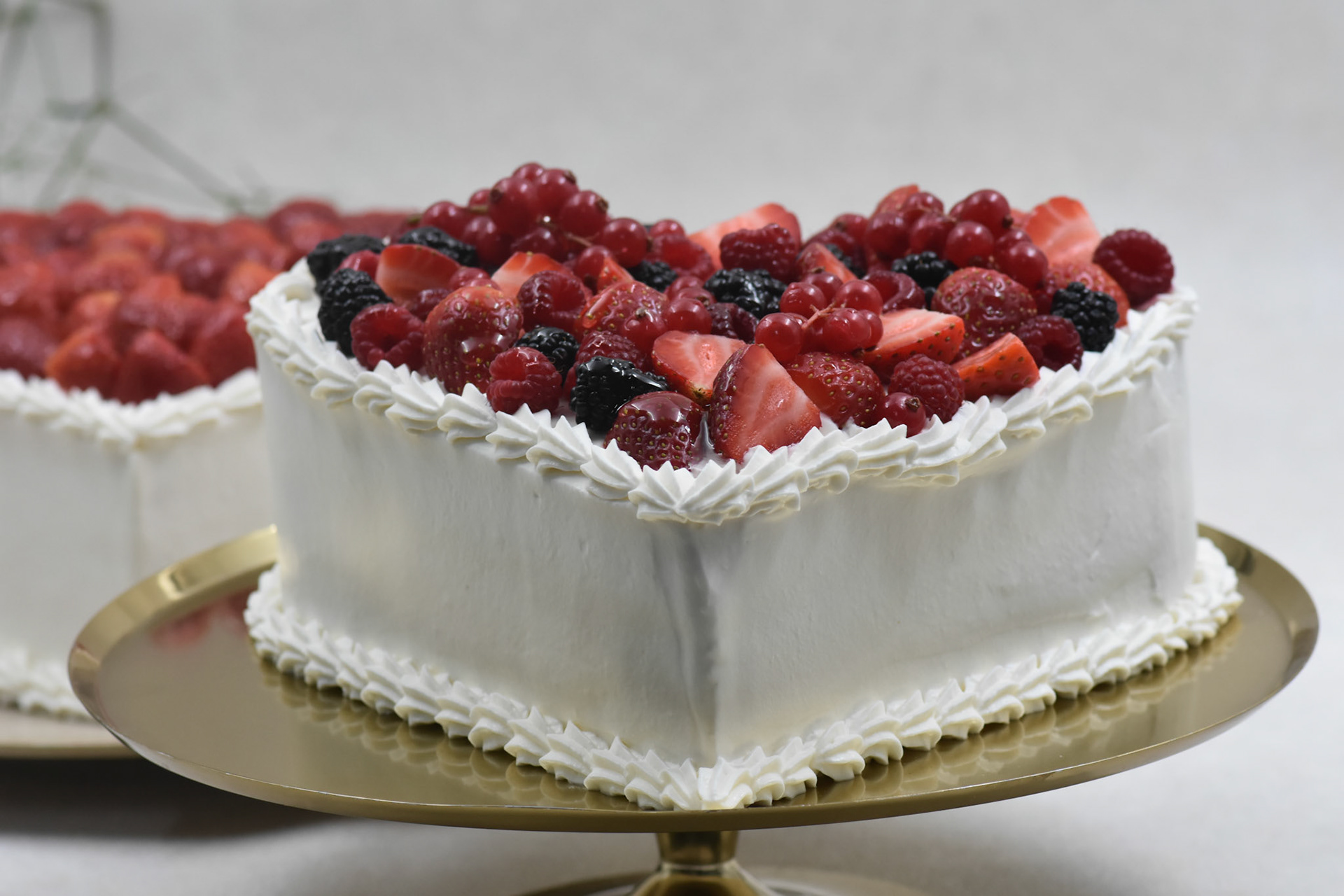 Angelina kyria Product Photography