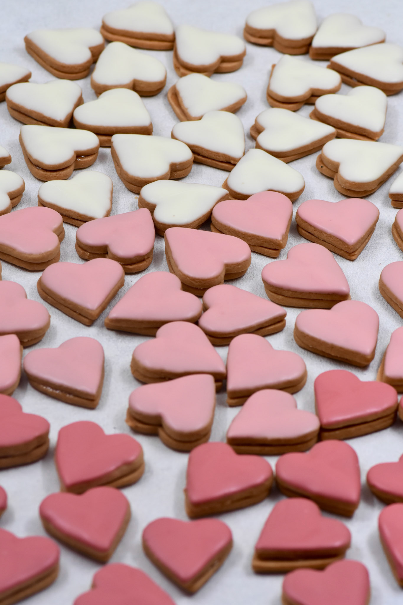 Angelina kyria Product Photography