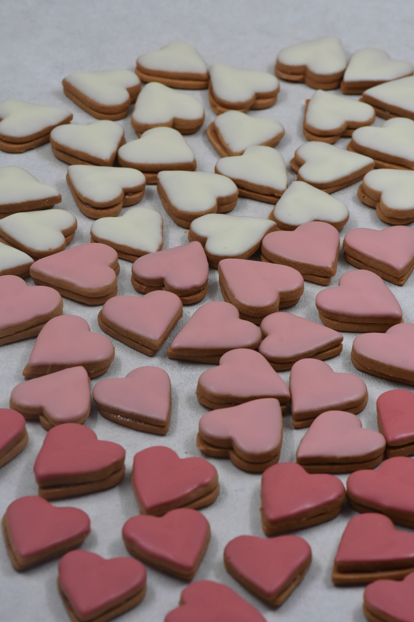 Angelina kyria Product Photography