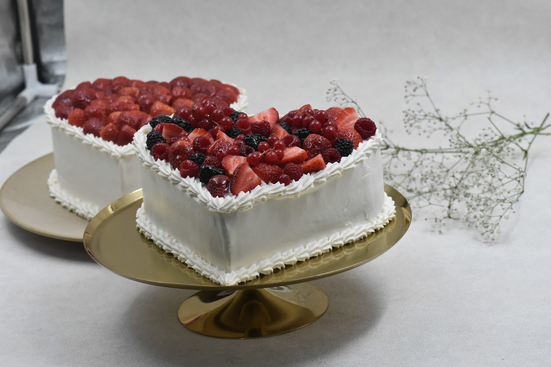 Angelina kyria Product Photography