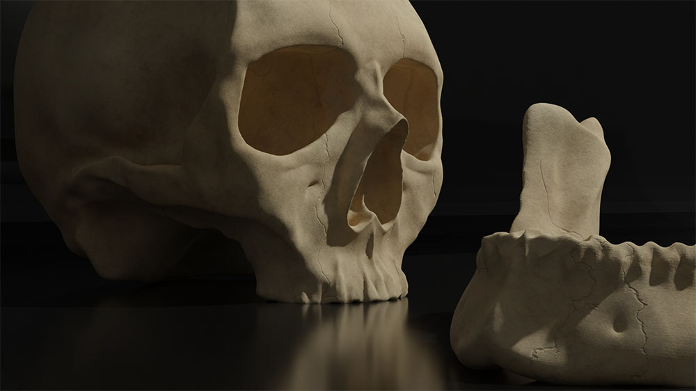 Skull - 2