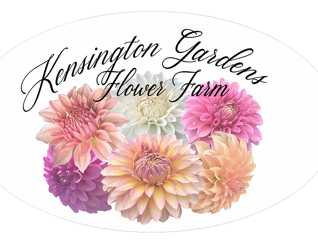 Kensington Gardens Flower Farm