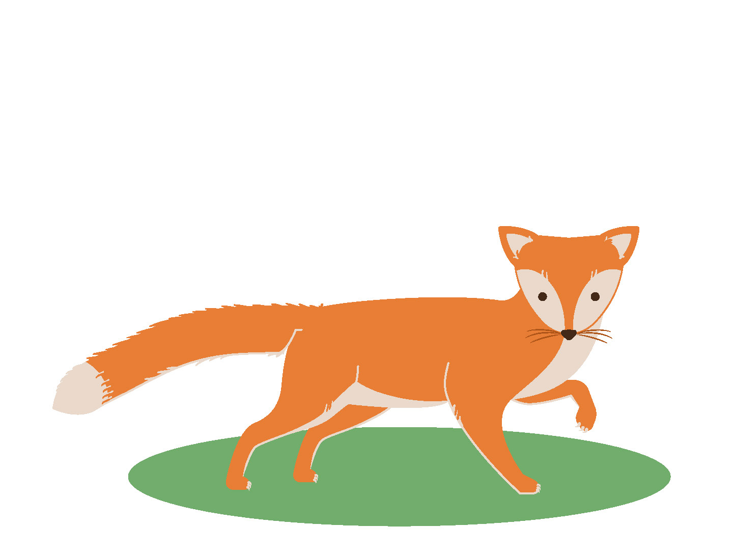 Der Fuchs