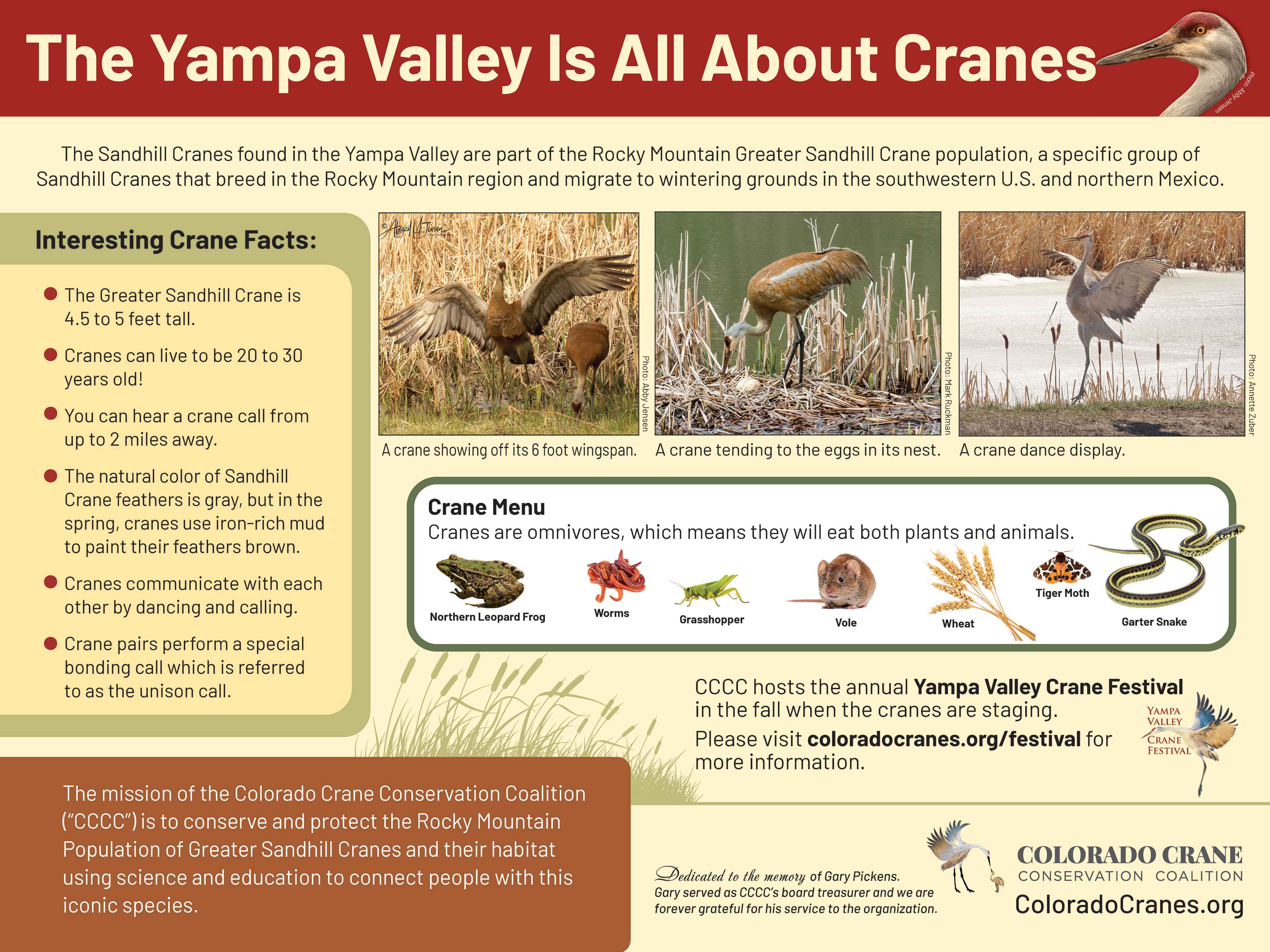 2nd Trail Sign to Describe Sandhill Crane Facts