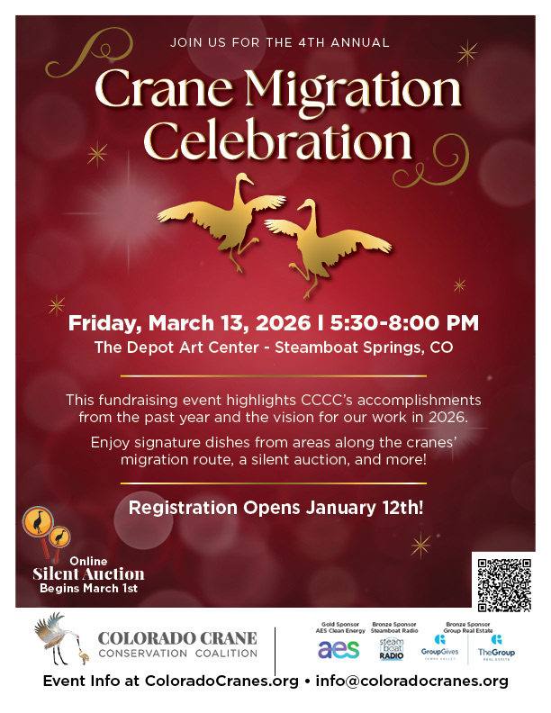 Poster For Fundraiser Event