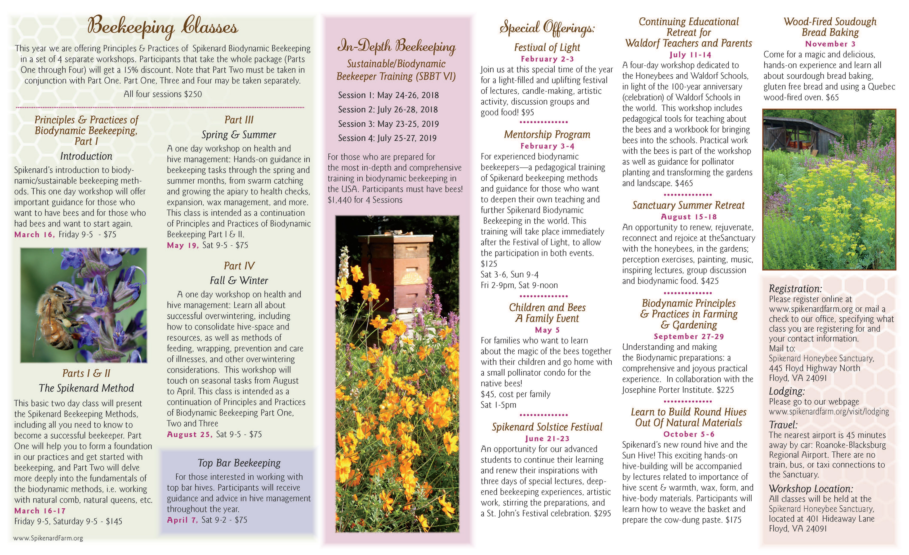Bee Farm Brochure - Inside
