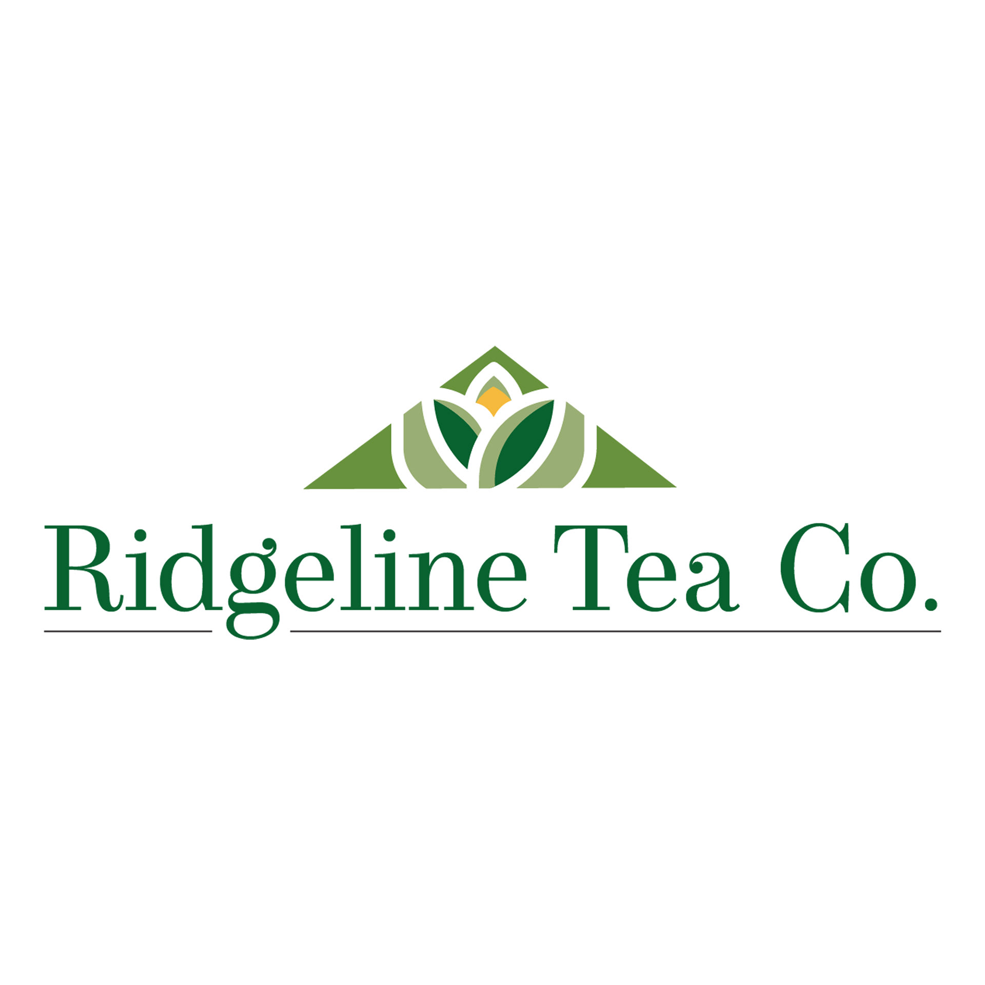 Logo For RT Co.