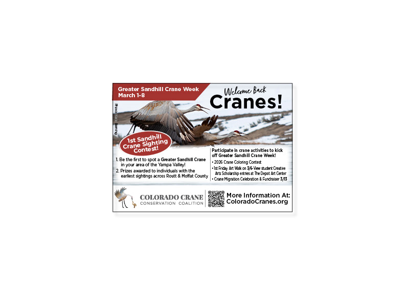 Newspaper Ad for Contest