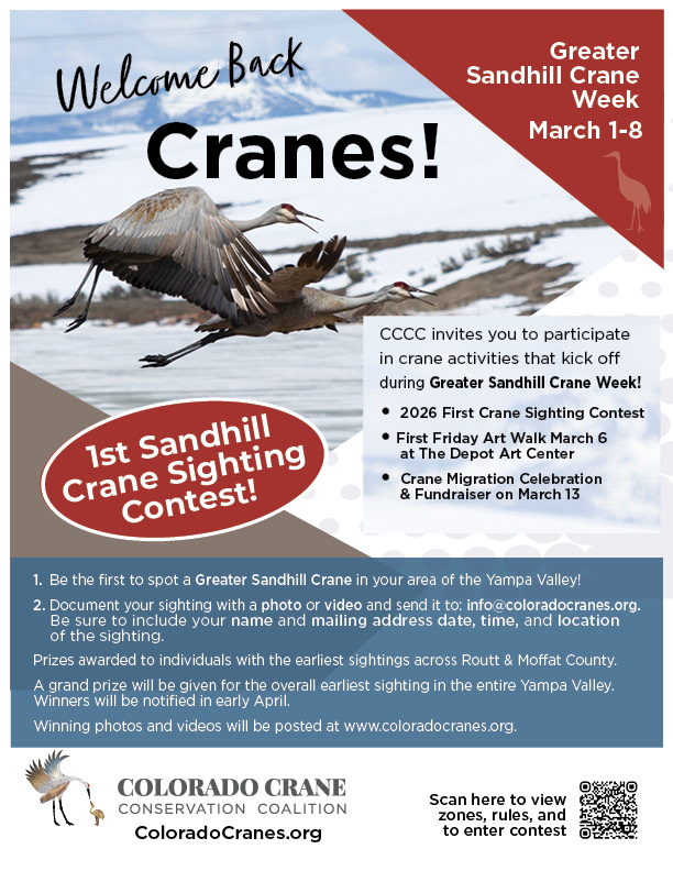 Poster Promoting Contest