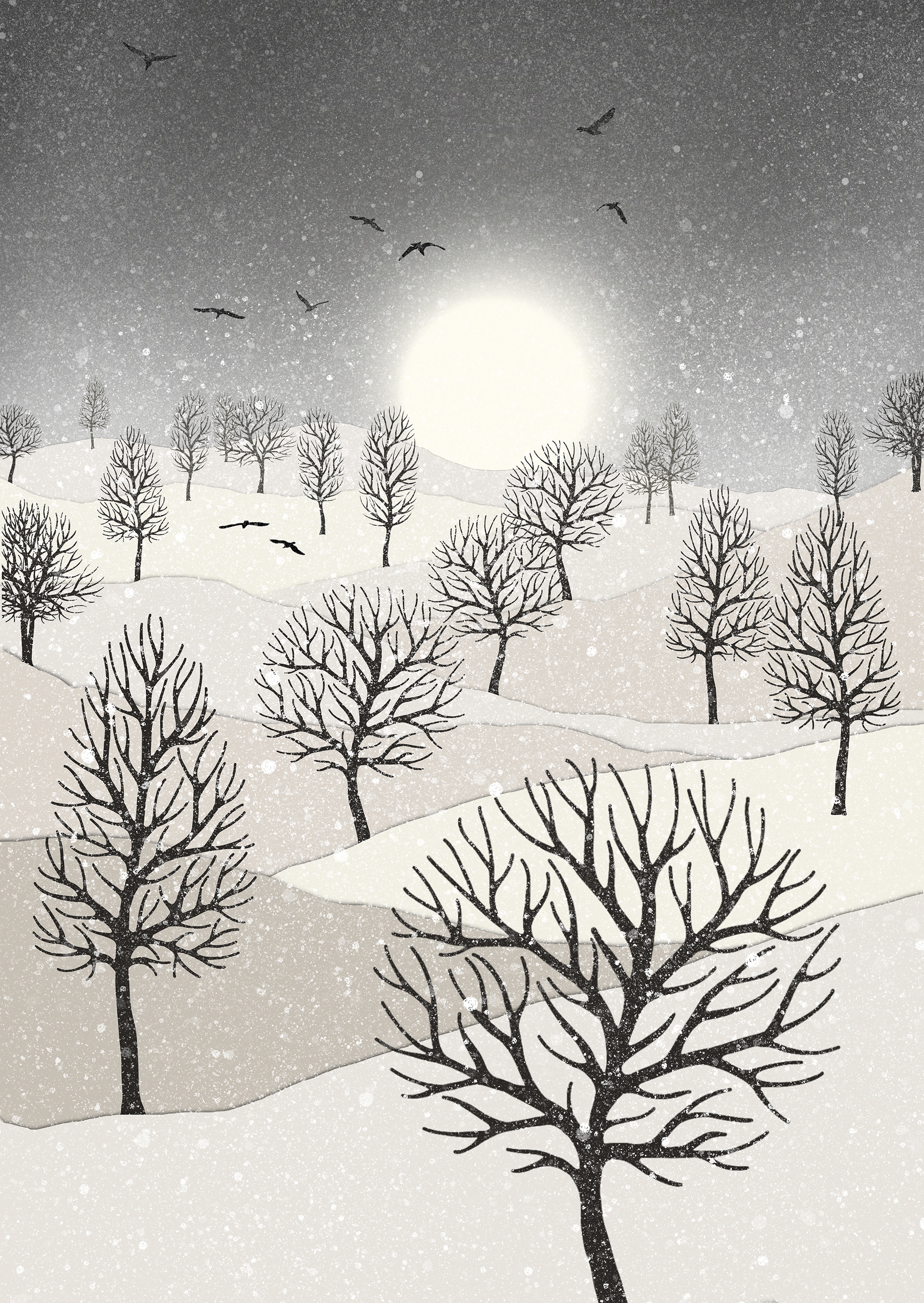 Winter Sun, artwork created by Robbie William for WalkinHISlight, depicting snow falling on a landscape dotted with various trees with the sun shining in the background and birds flying. Reductive in nature. Shades of white, grey's through to black.. Available as a canvas print and paper print framed or unframed in various sizes. Contemporary/modern in style..