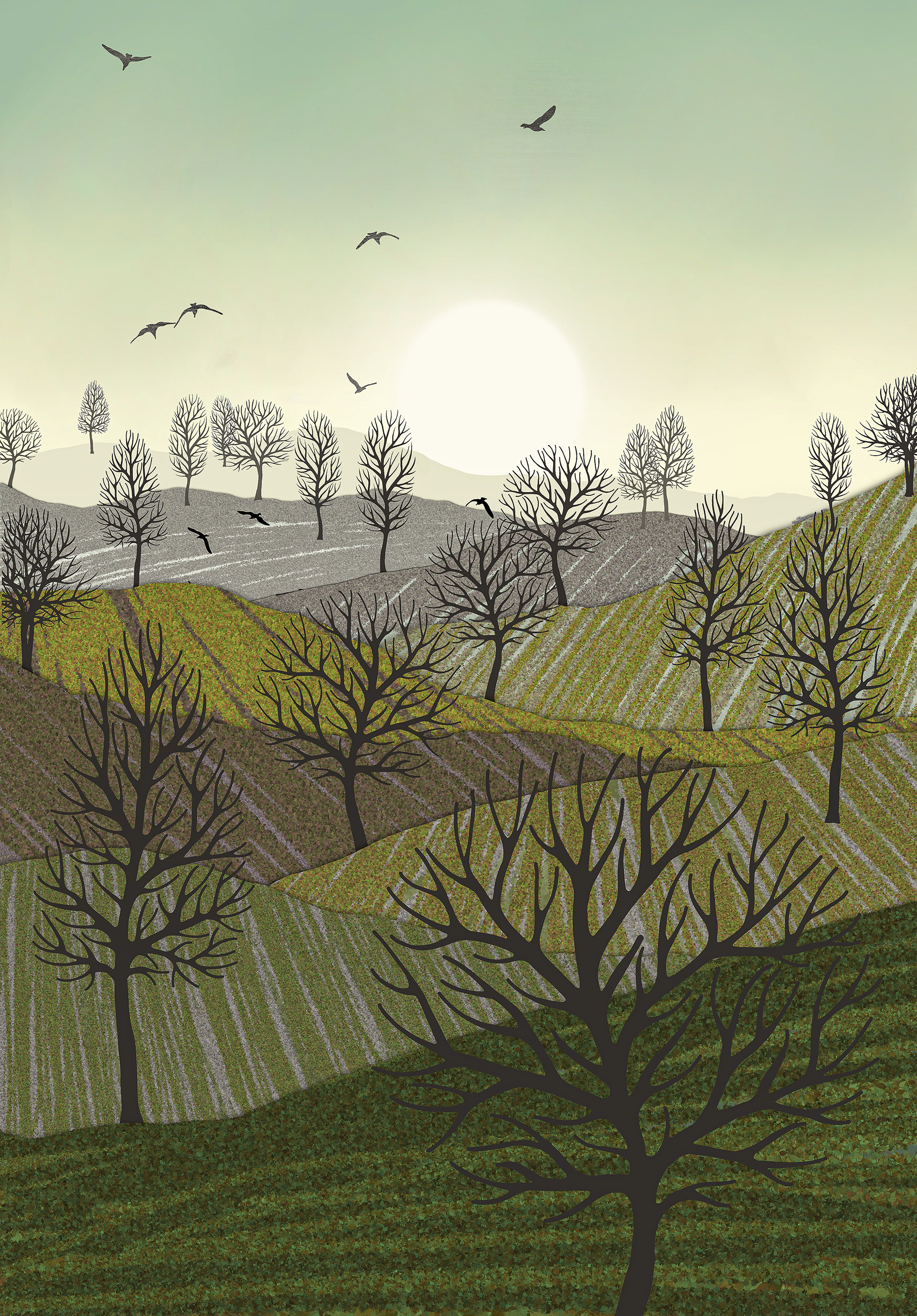 Over the Hills created by Robbie William for WalkinHISlight,, artwork depicting a landscape dotted with various trees with the sun shining in the background and birds flying. Reductive in nature. Shades of white, grey's, greens through to black.. Available as a canvas print and paper print framed or unframed in various sizes. Contemporary/modern in style..