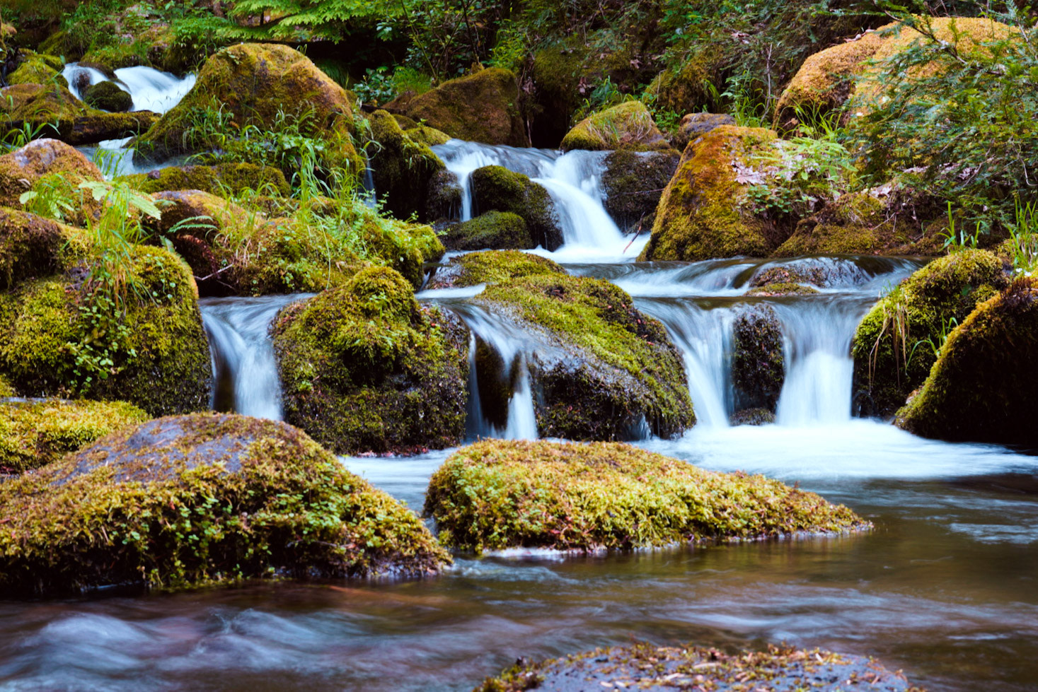 Nature never stops moving—it just slows in the frame