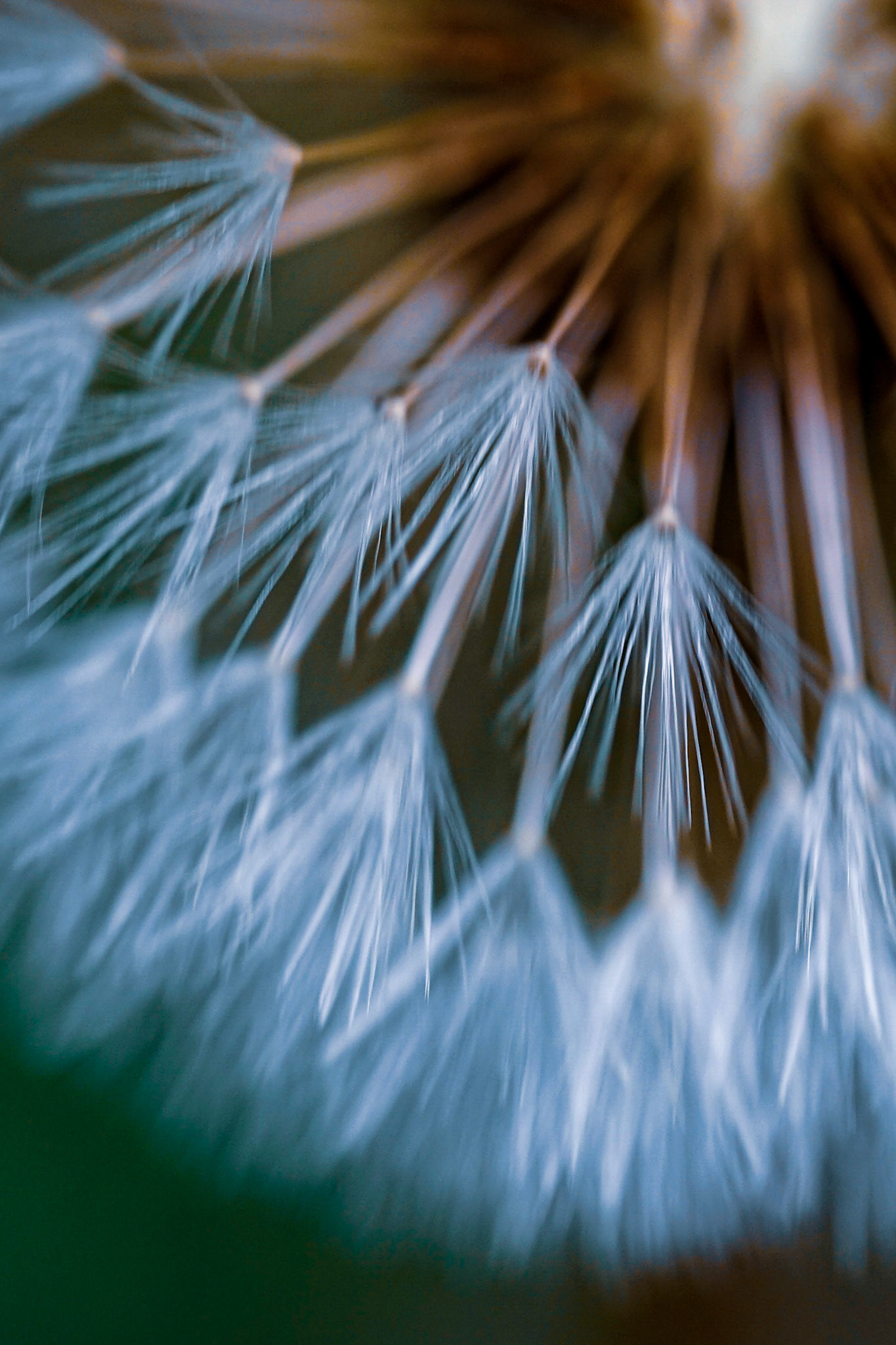 Shape meant to be felt, not solved