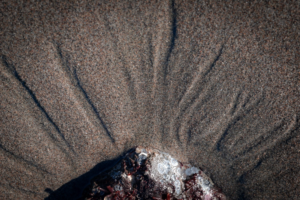 Nature’s sketchbook, constantly erased