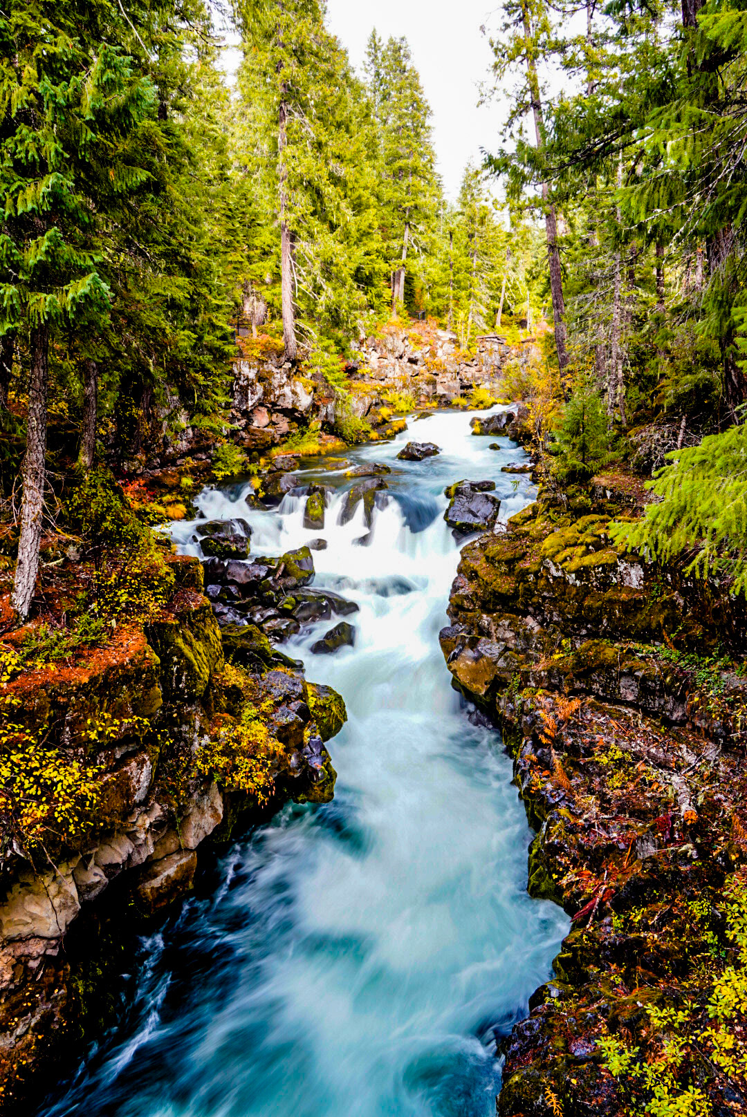 Fall fading into long exposure memory