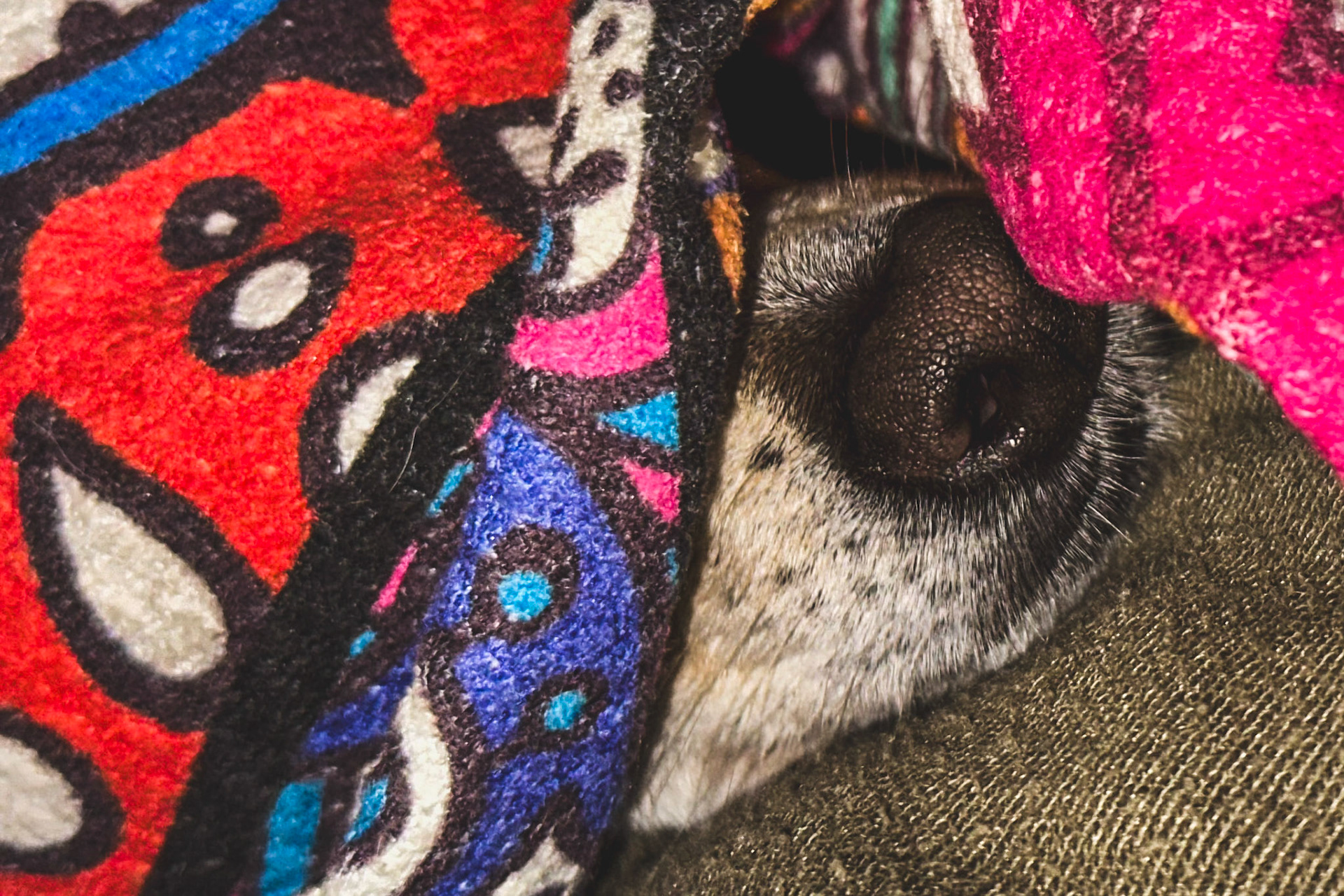 Comfort found in stillness and fabric