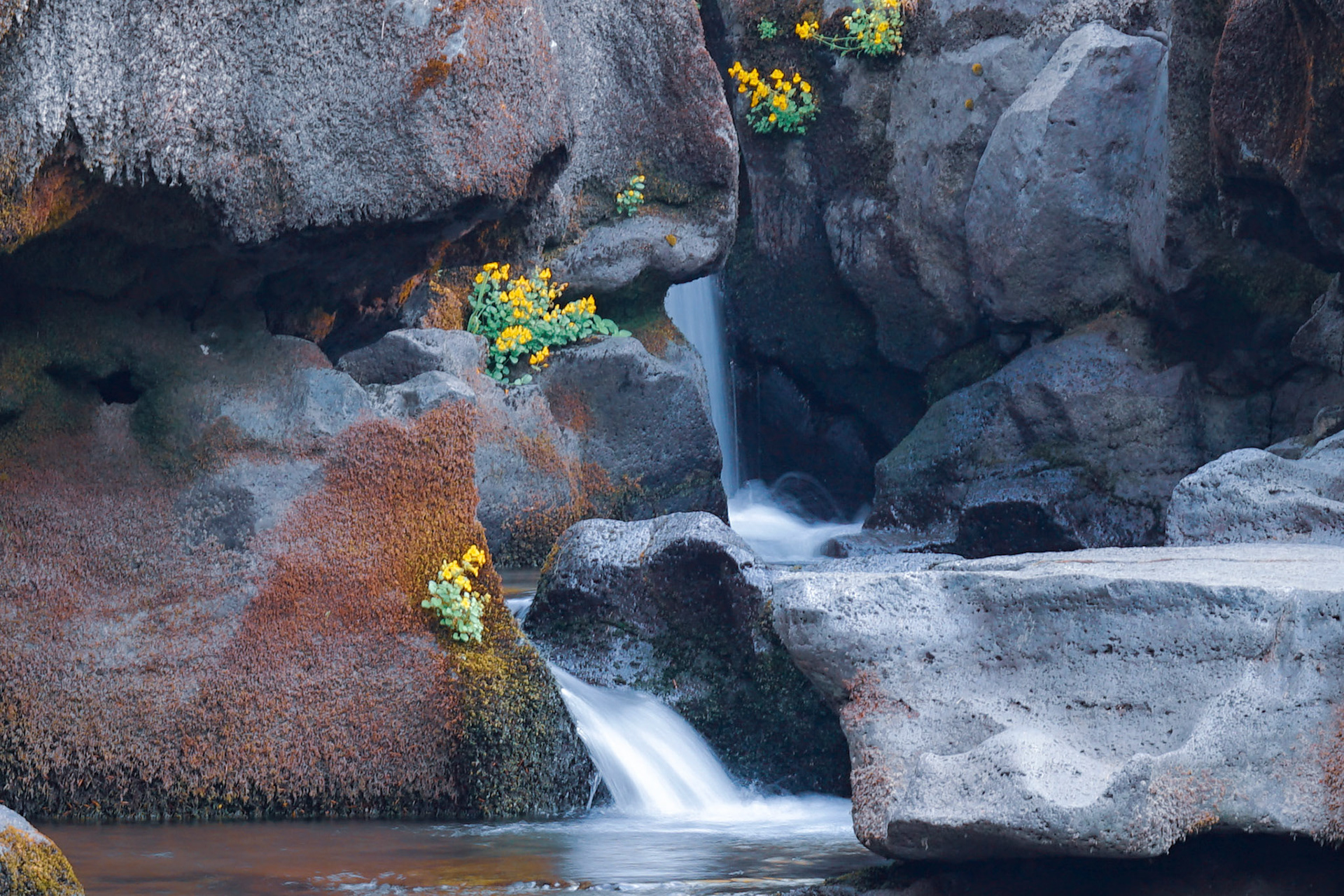 Stone and water in slow conversation