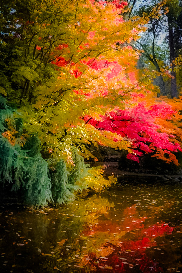 Autumn, in full expression