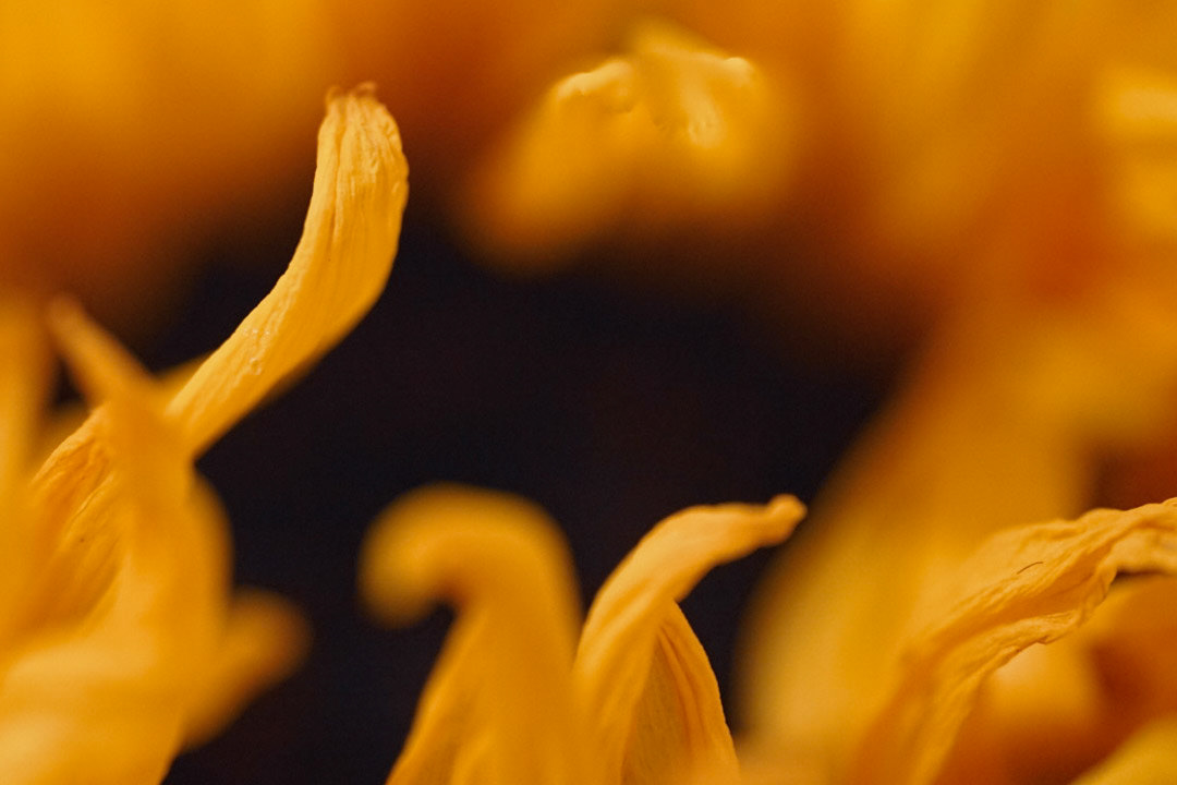 Shape and texture without distraction