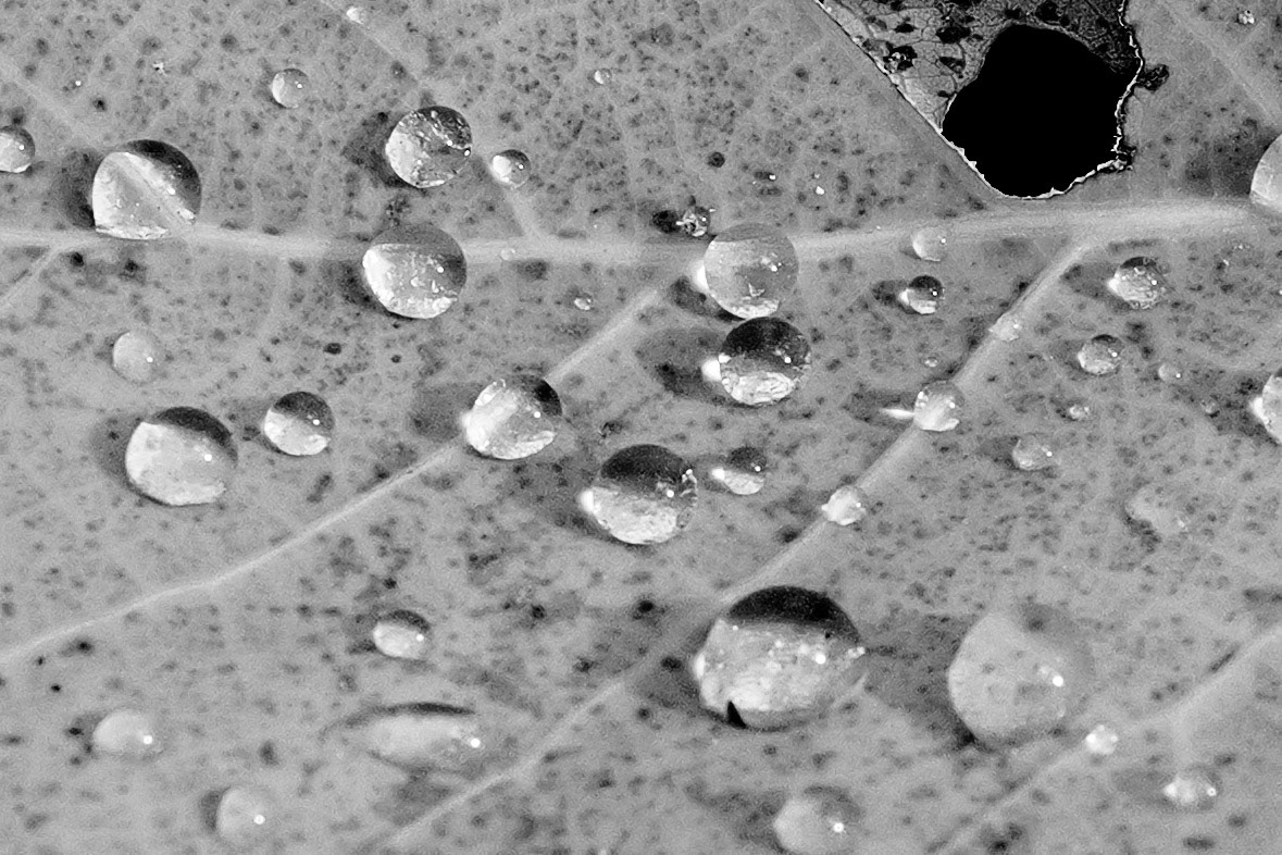 Suspended between movement and calm