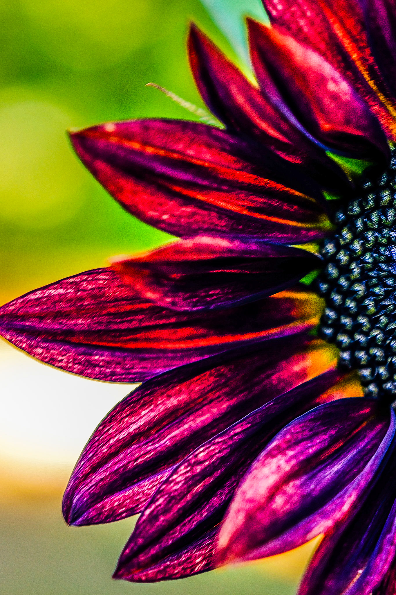 A study in natural design