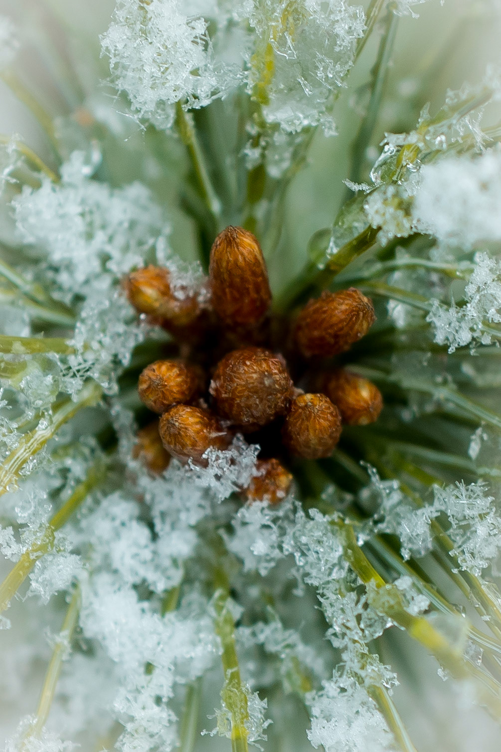 Macro perspective of natural environment elements