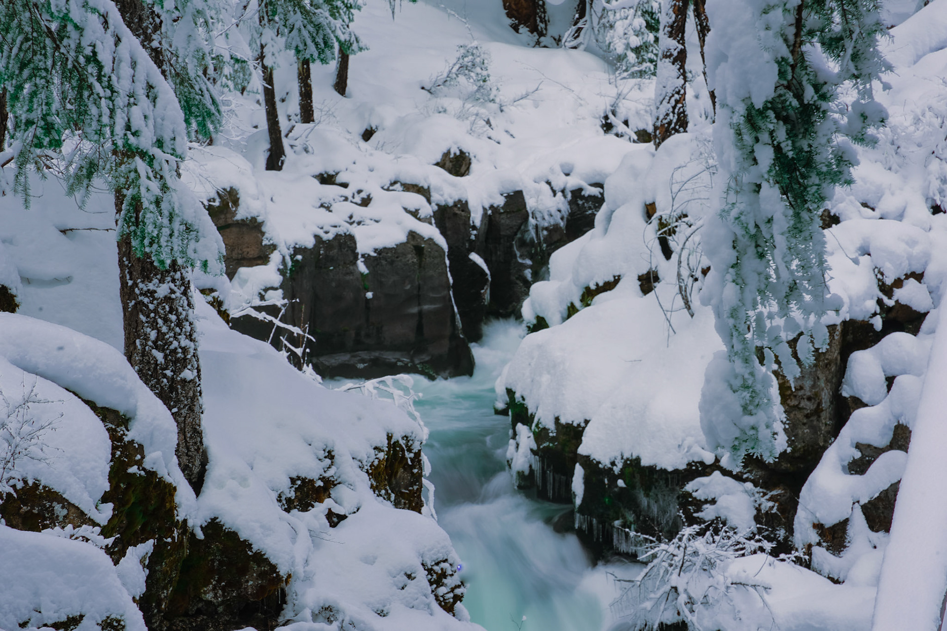 Winter light, softened and stretched