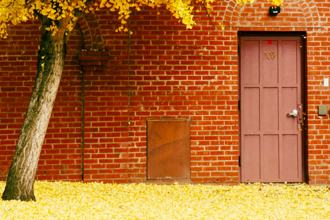 A season painted in fire and gold