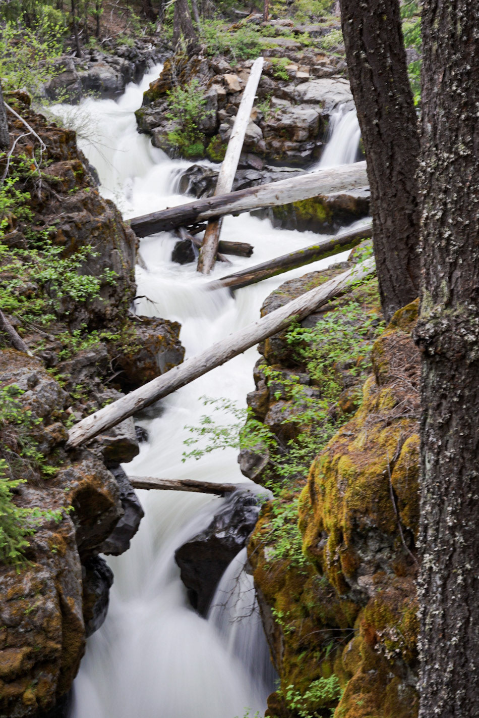 Nature, blurred into continuity