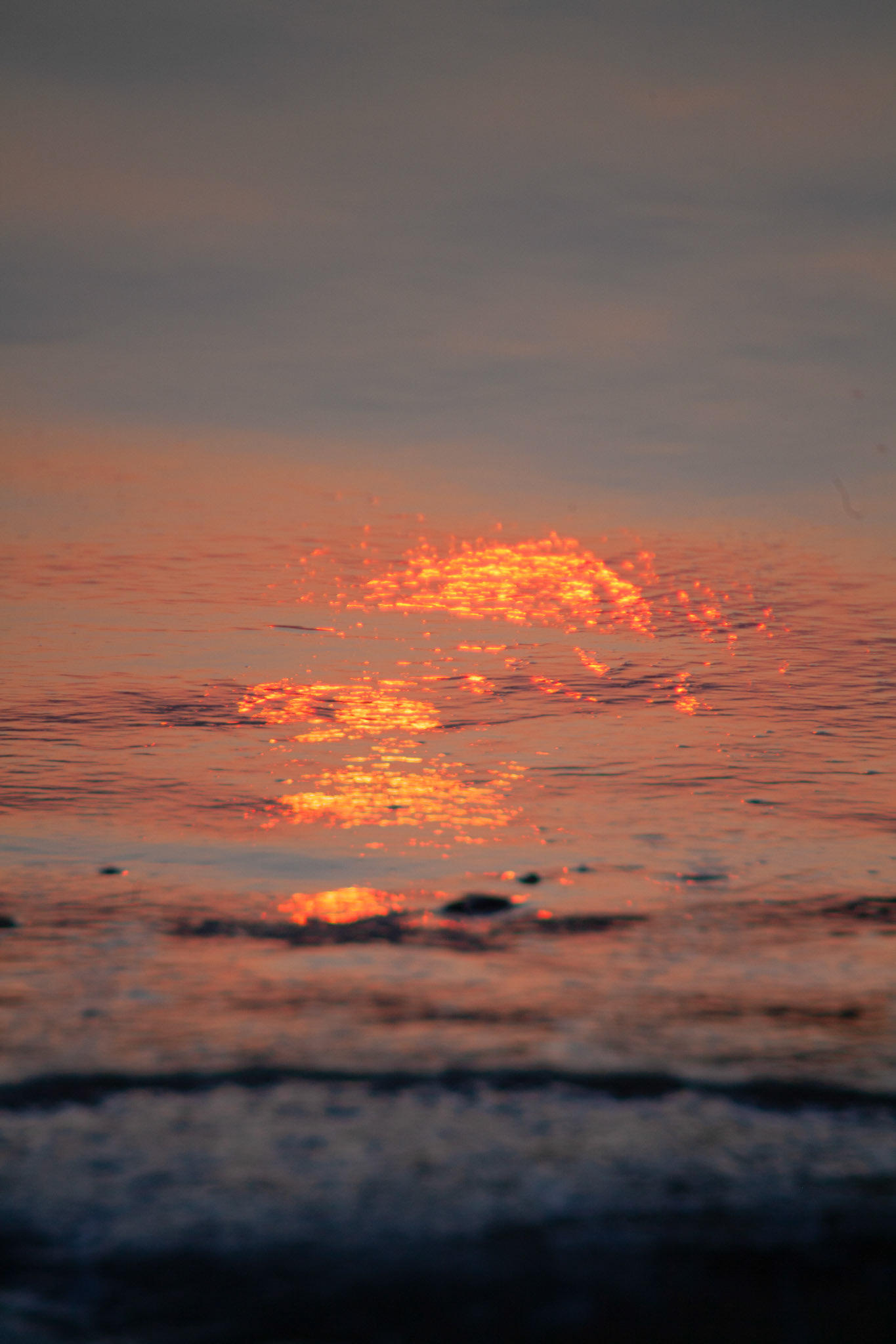 Fragments of a setting sun, Landes