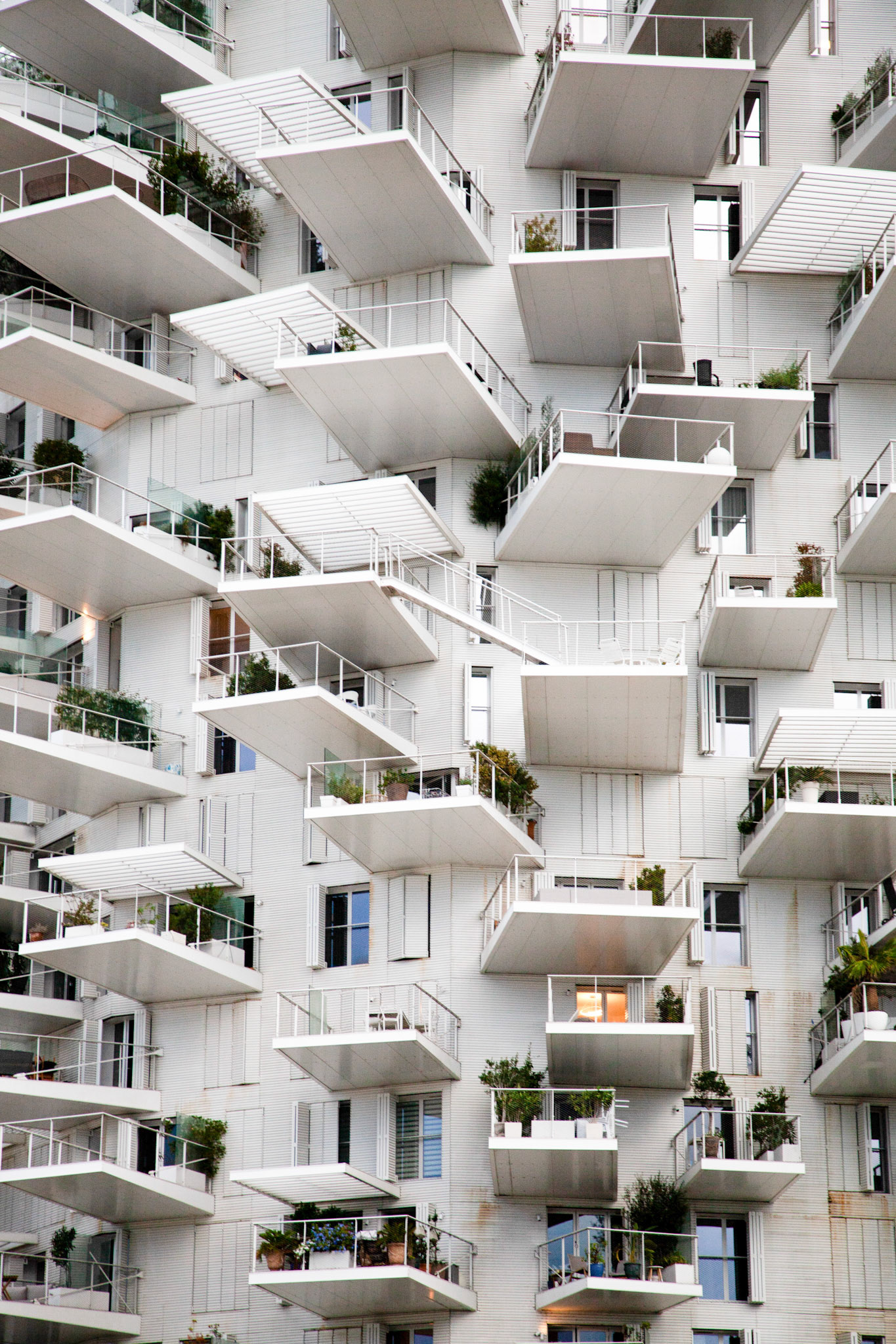 "L'arbre blanc", Montpellier