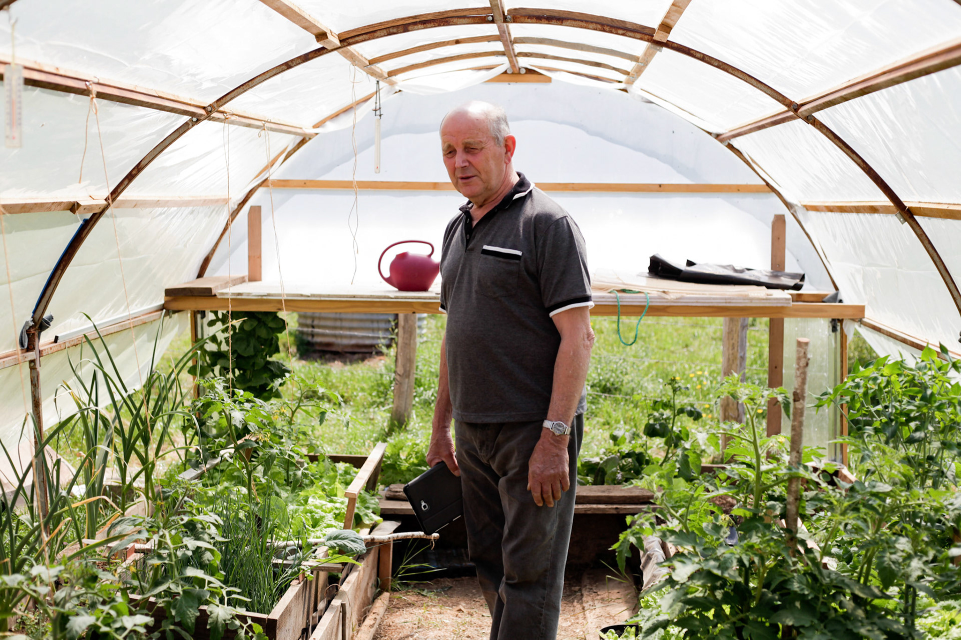 Uncle Serge in his hothouse, Haute-Marne