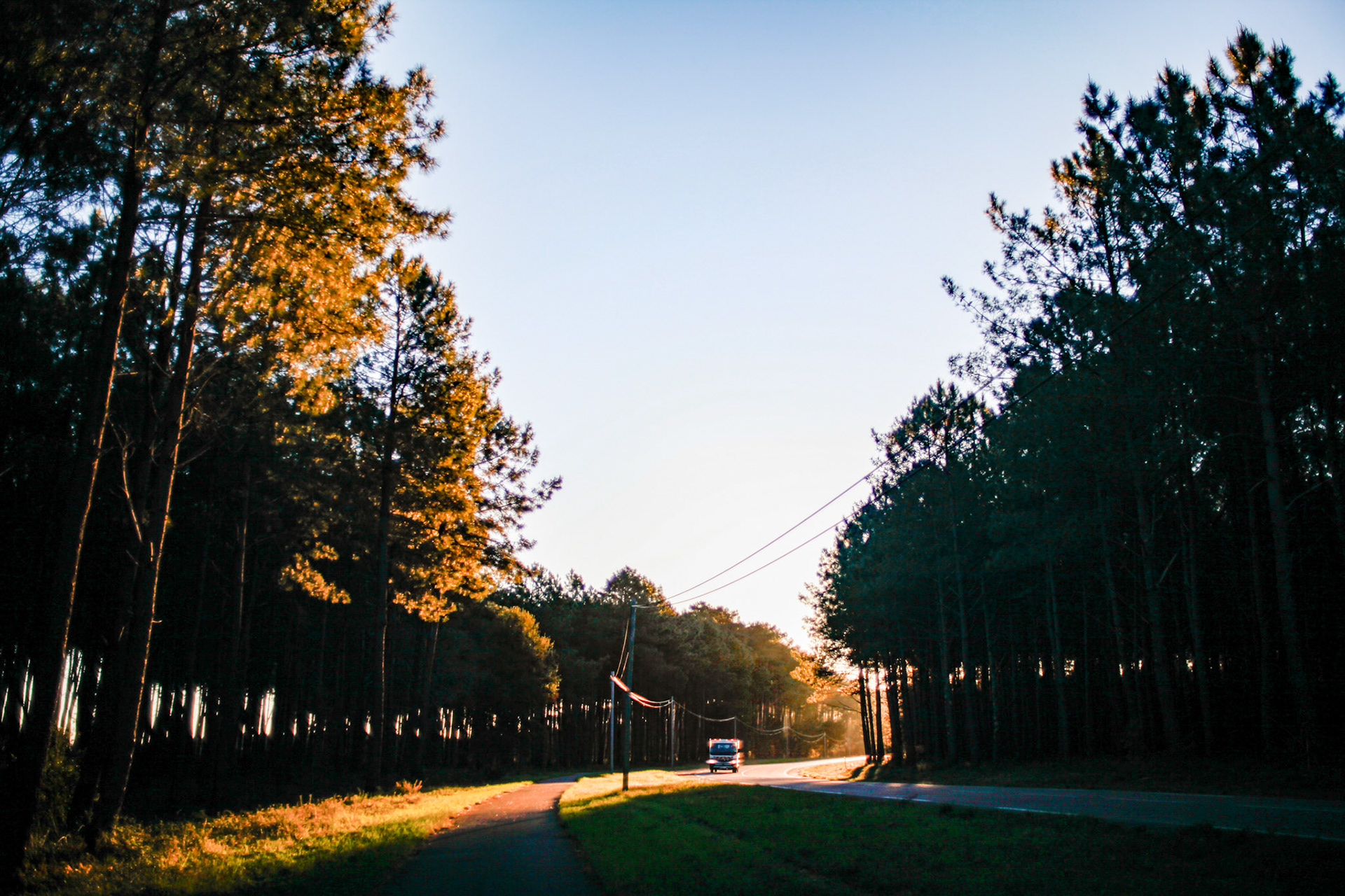 After a heavy night, Landes