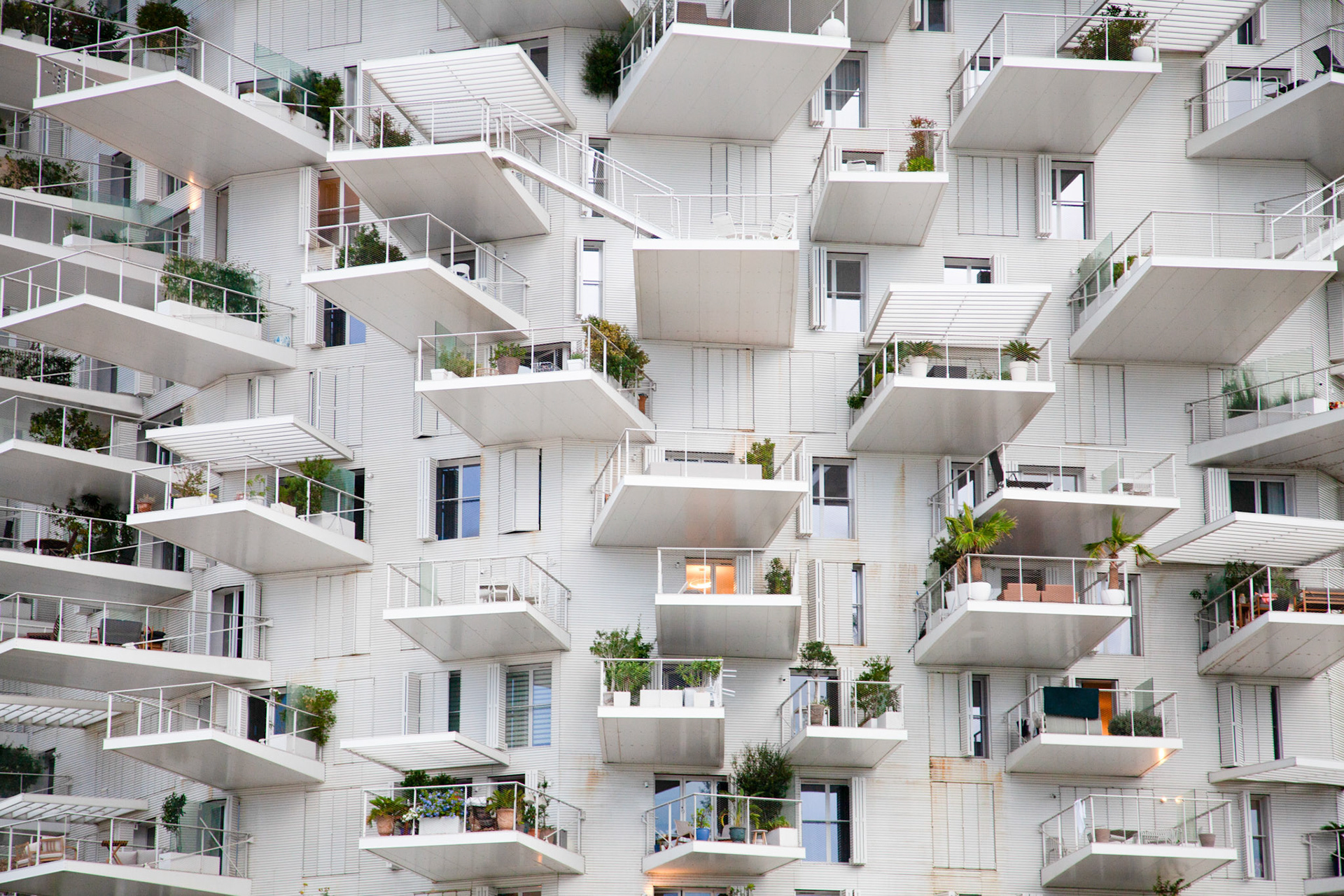 "L'arbre blanc", Montpellier