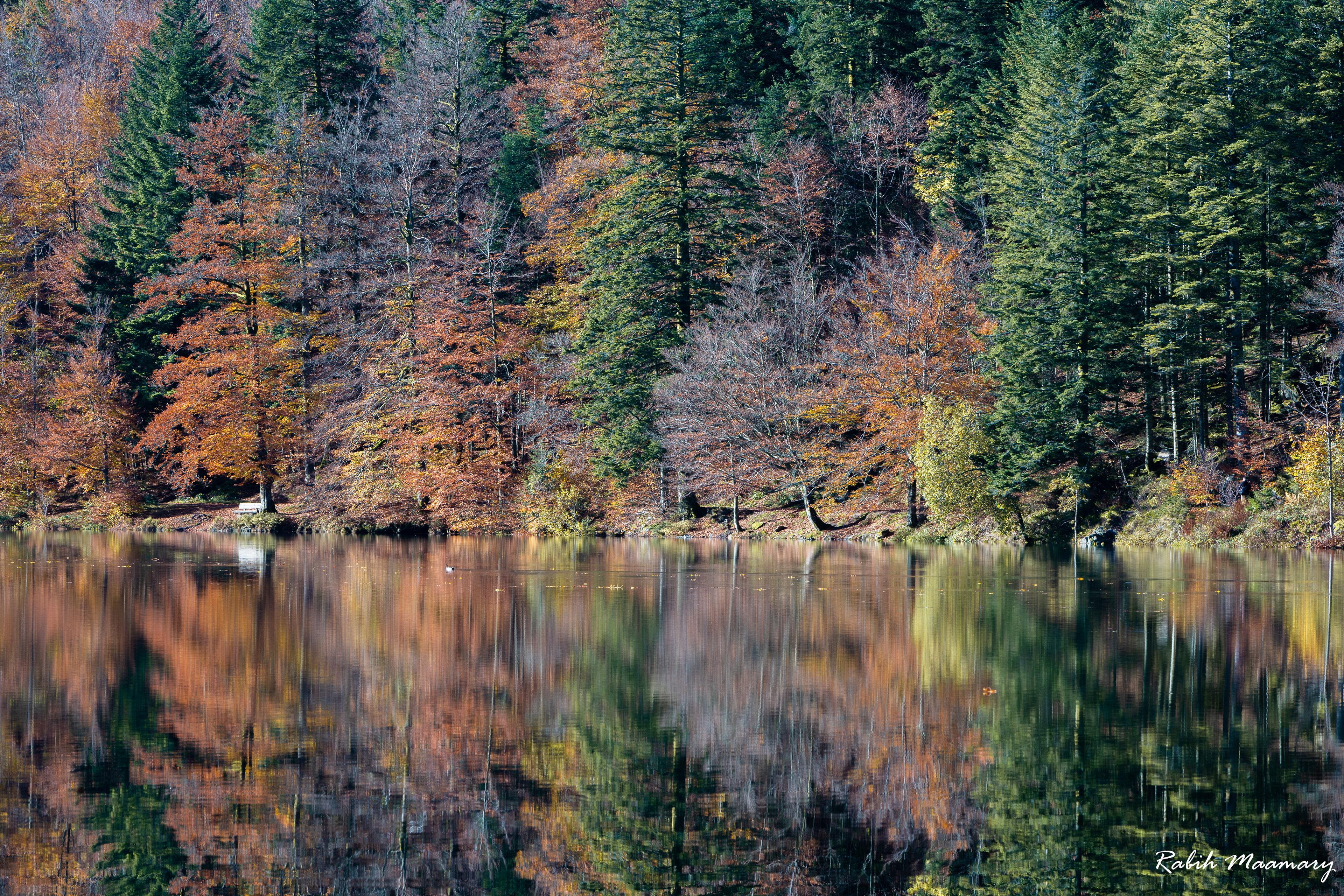 Vosges - France