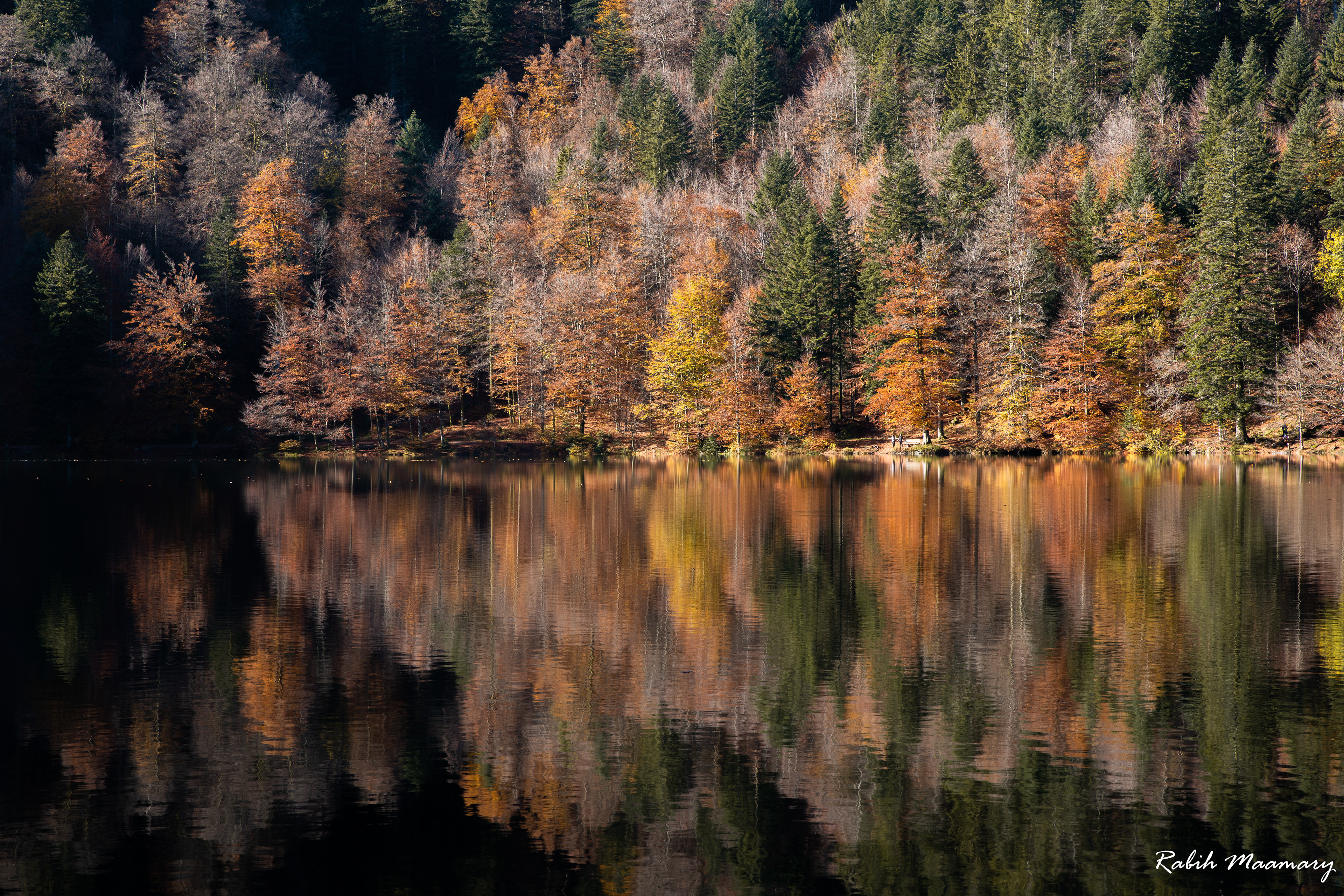 Vosges - France